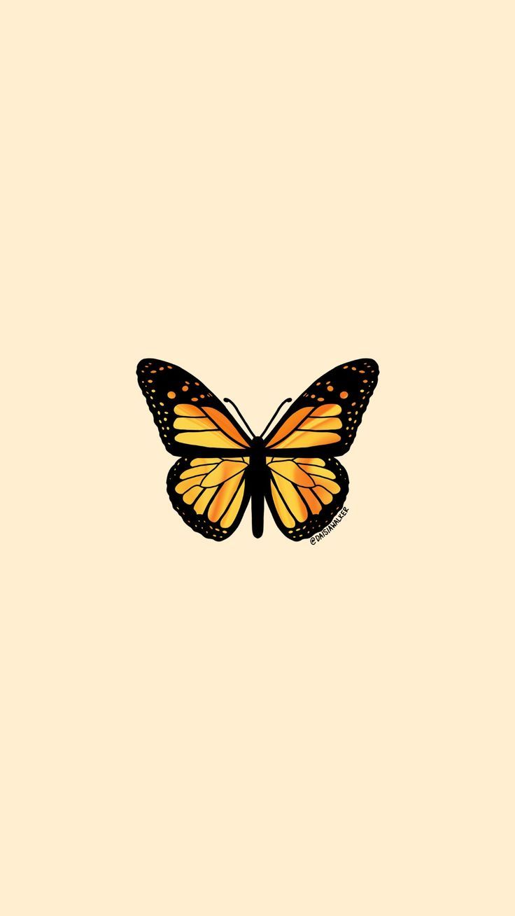 Yellow Orange Butterfly. iPhone wallpaper yellow, Blue butterfly wallpaper, Aesthetic iphone wallpaper