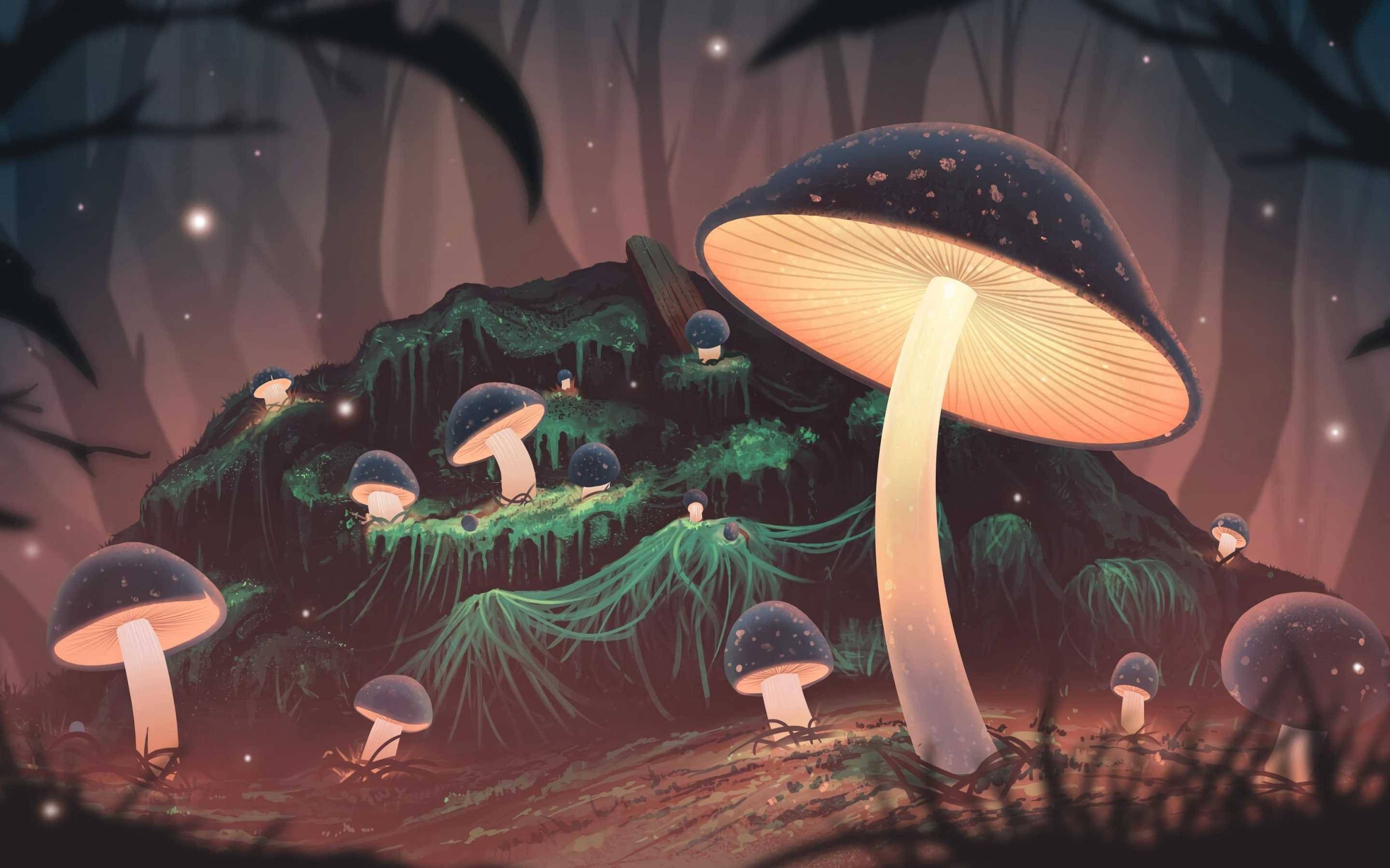 Download Fantasy Art Mushroom Aesthetic Wallpaper
