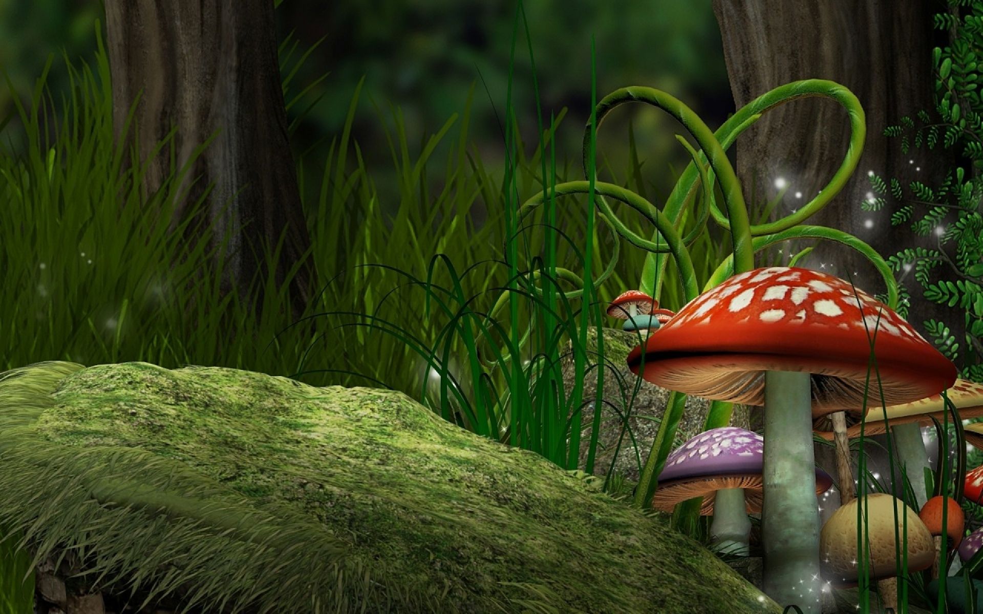 Mushroom HD Wallpaper and Background