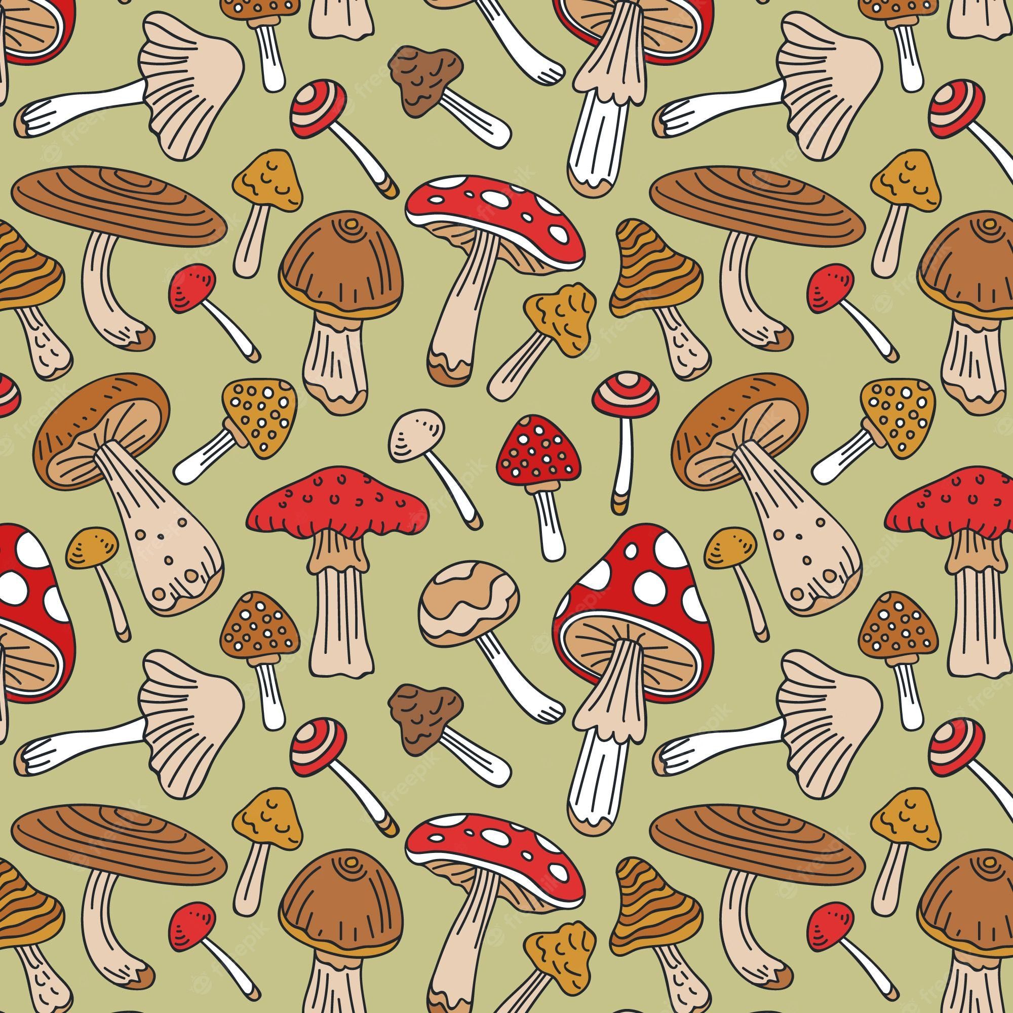 Mushroom Wallpaper Image