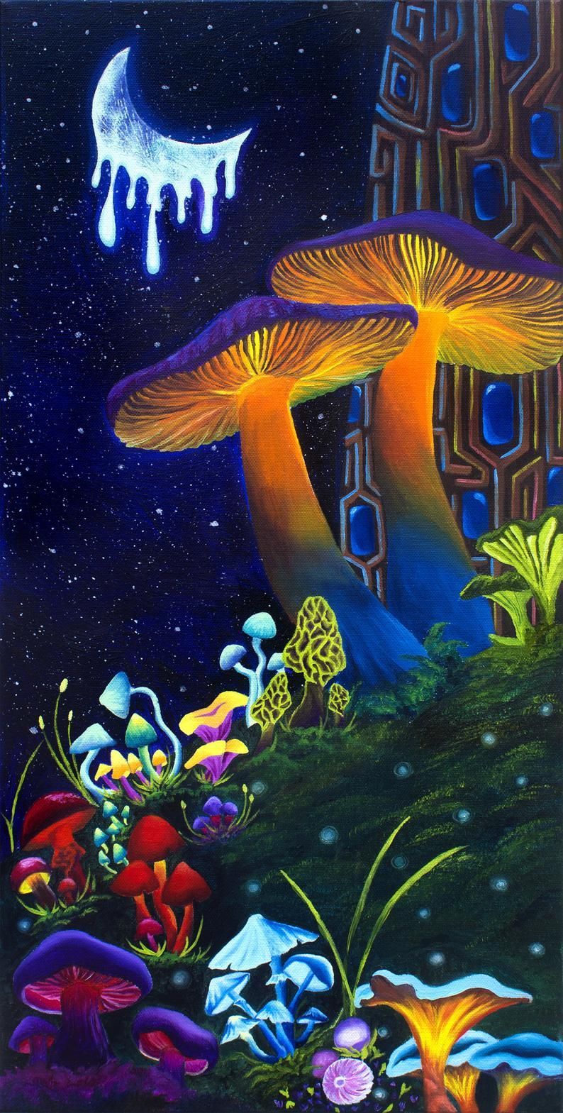 Mushroom house in the night - Mushroom