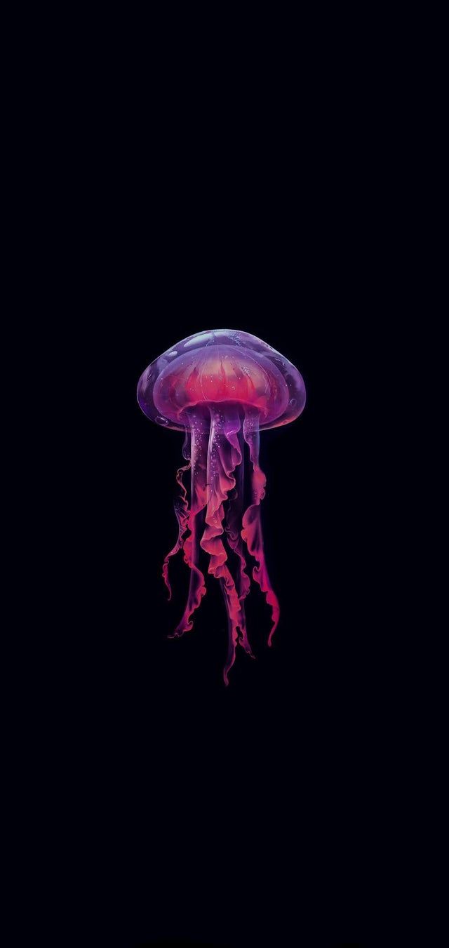Jellyfish wallpaper for your iPhone from Vibe app - Apple Watch