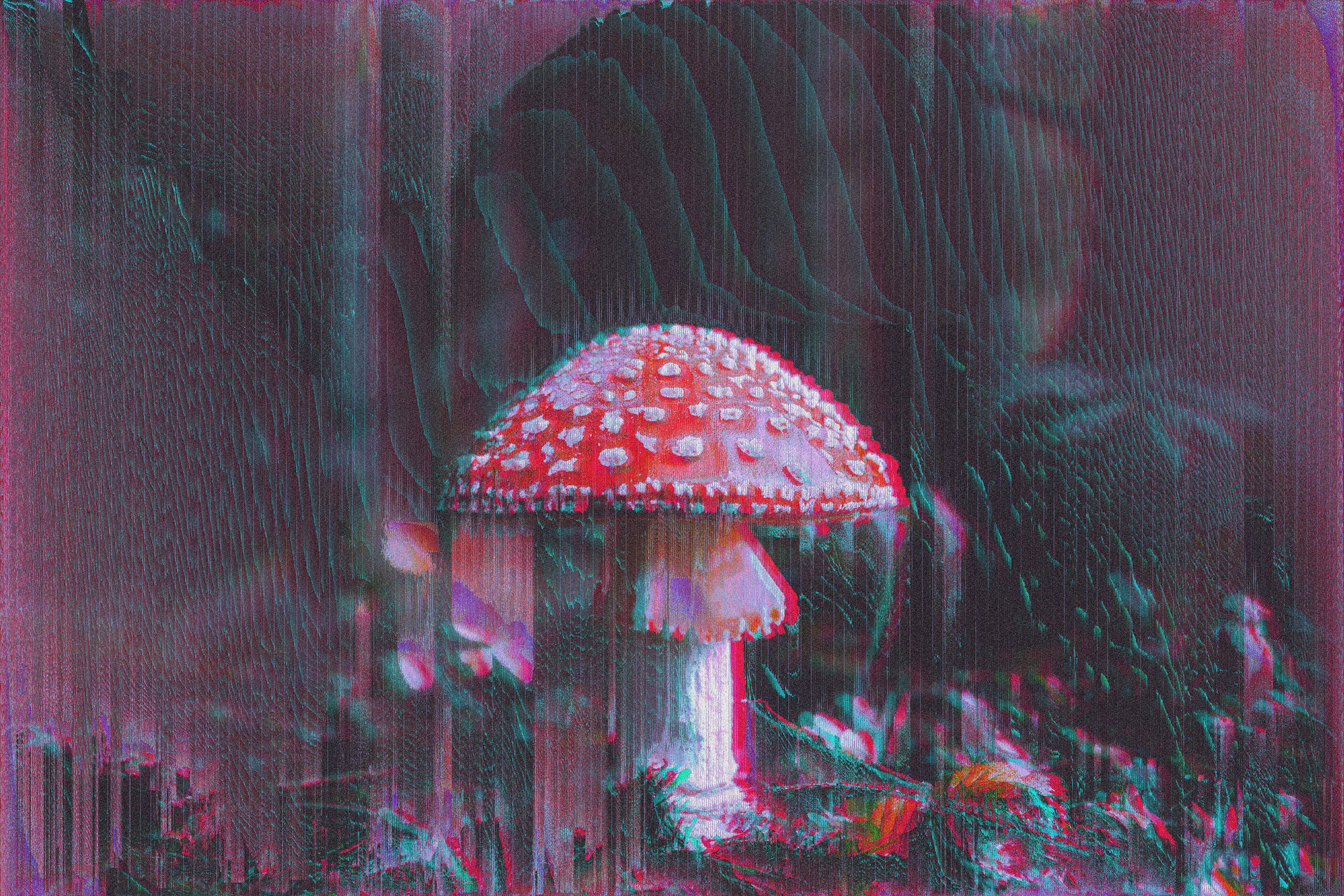 A red and white mushroom in a forest, with a purple and pink filter. - Mushroom