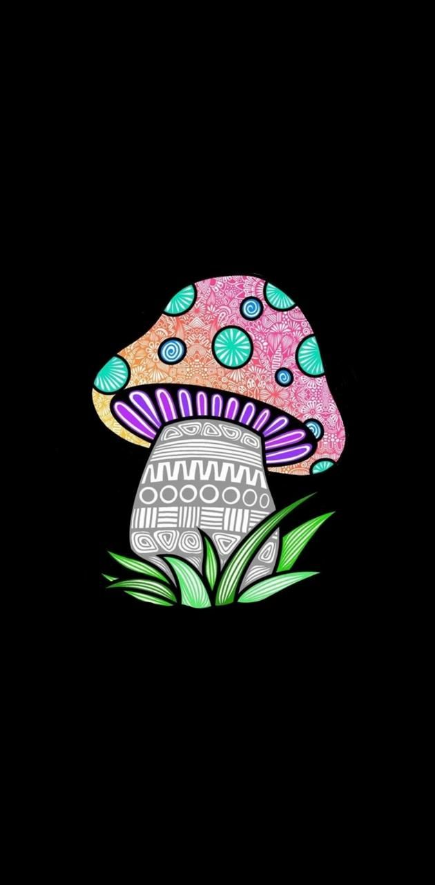 A colorful mushroom with polka dots on it - Mushroom