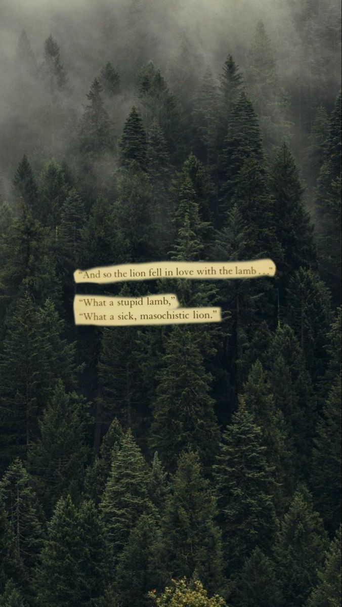 A forest of trees with a piece of paper with a quote on it. - Twilight