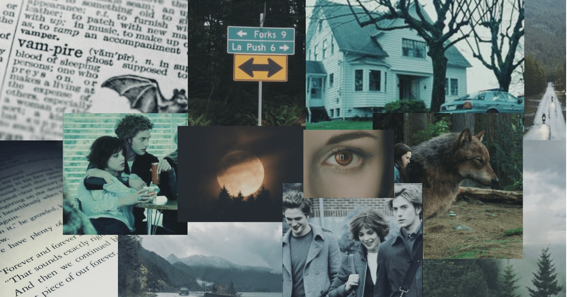 A collage of images from the Twilight series. - Twilight