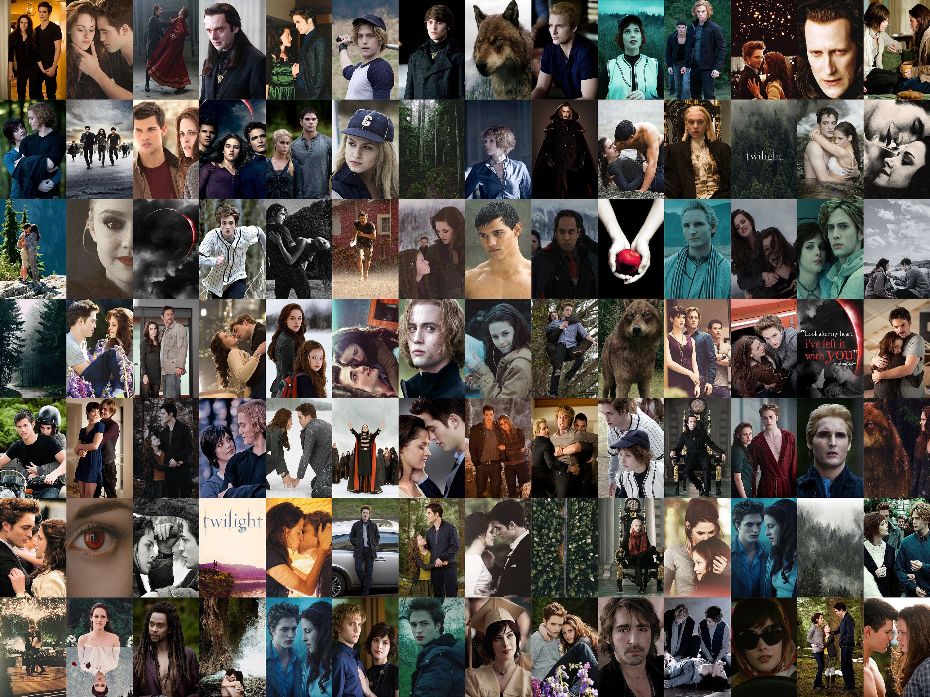 A collage of many different people in various poses - Twilight