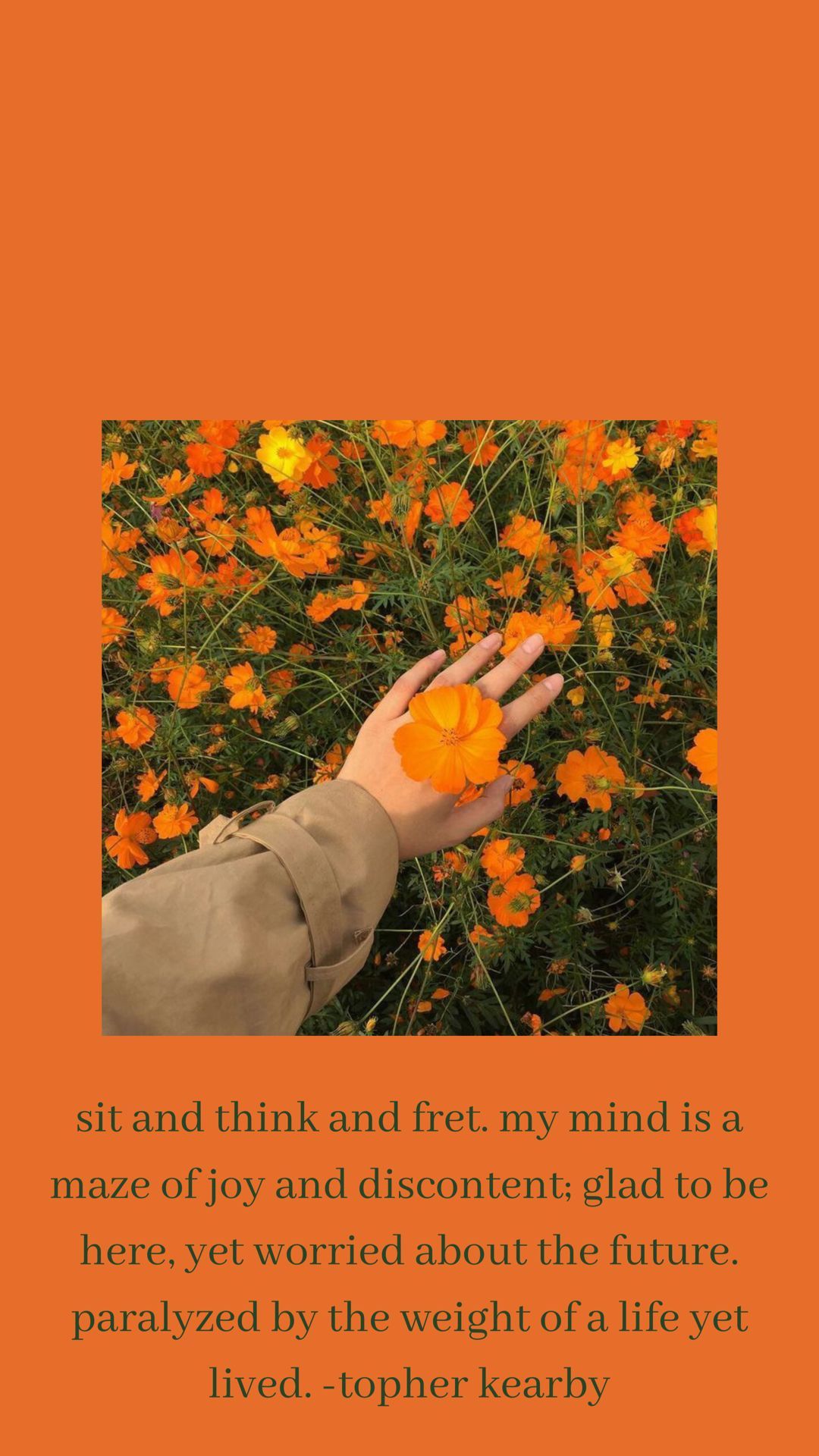 An orange image with a hand holding a flower. A quote from Topher Kirby is written underneath. - Pastel orange