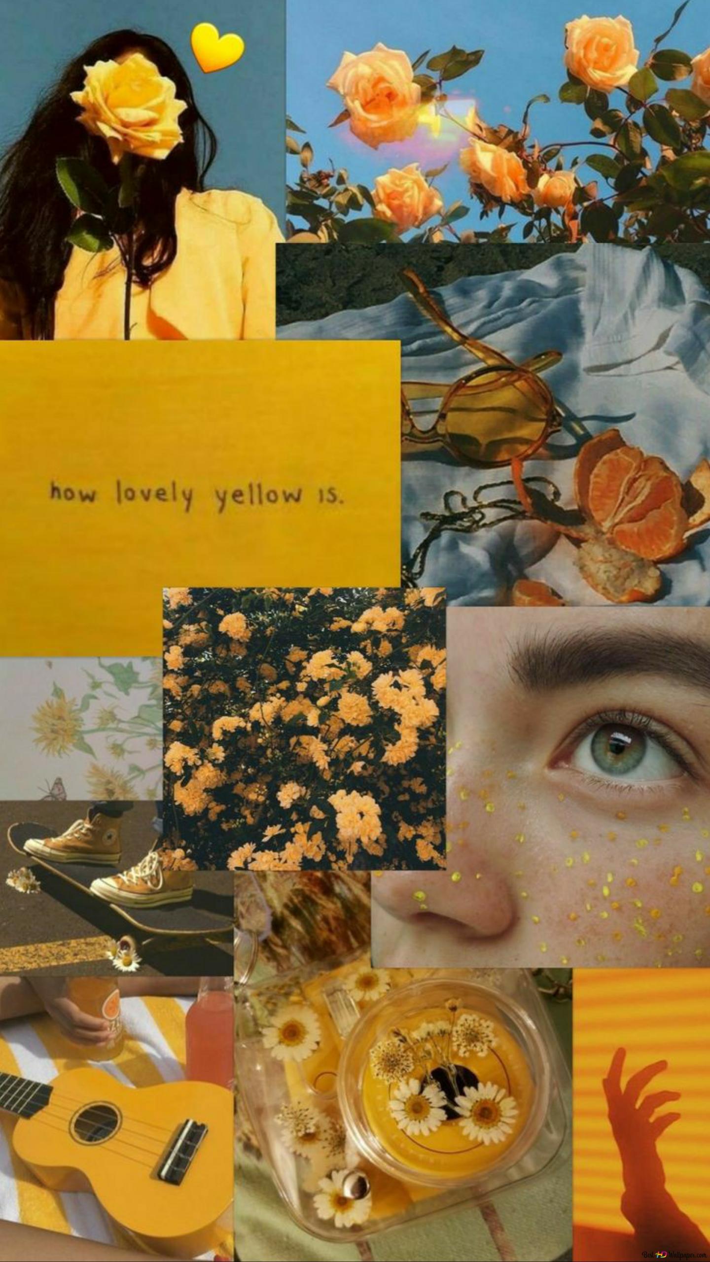 A collage of pictures with yellow flowers - Pastel orange