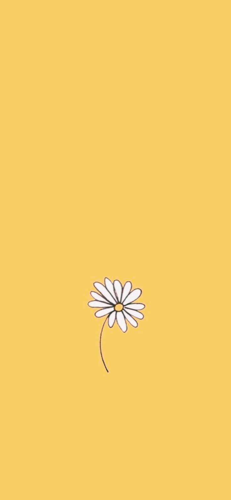 A simple flower on yellow background - Yellow iphone, pastel yellow