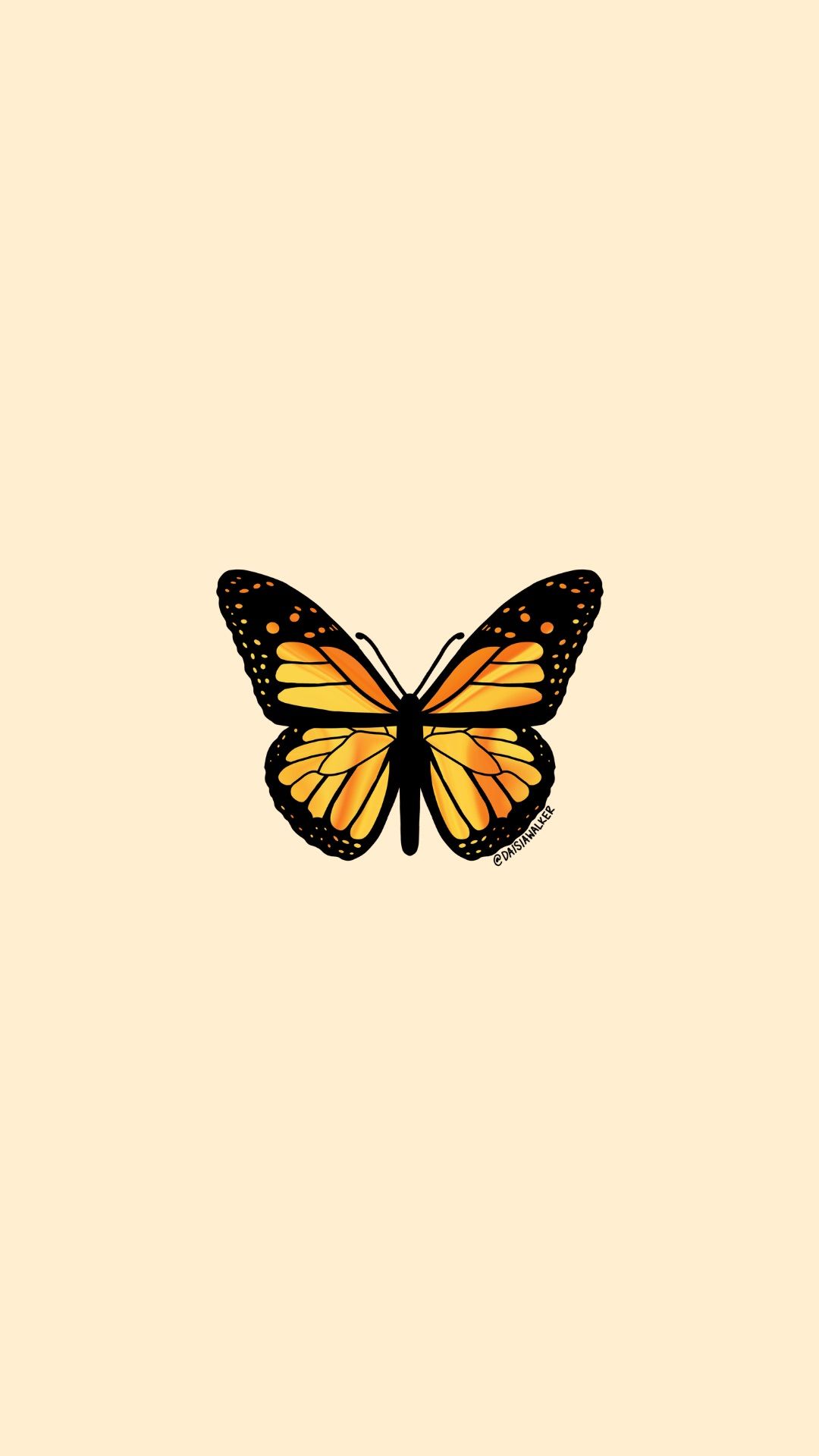 A butterfly on the wall - Pastel orange, yellow iphone, butterfly, profile picture