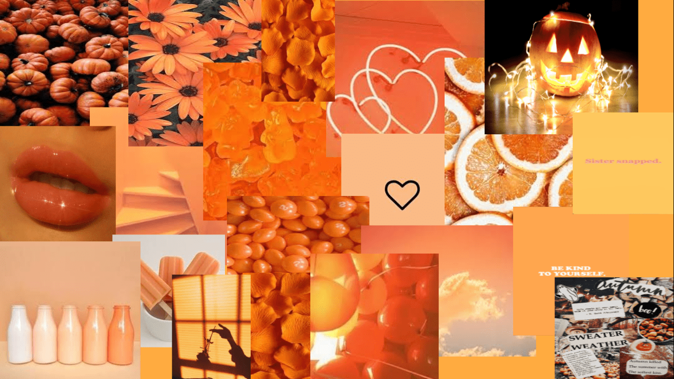 A collage of orange and brown images including pumpkins, flowers, and orange aesthetic pictures. - Pastel orange