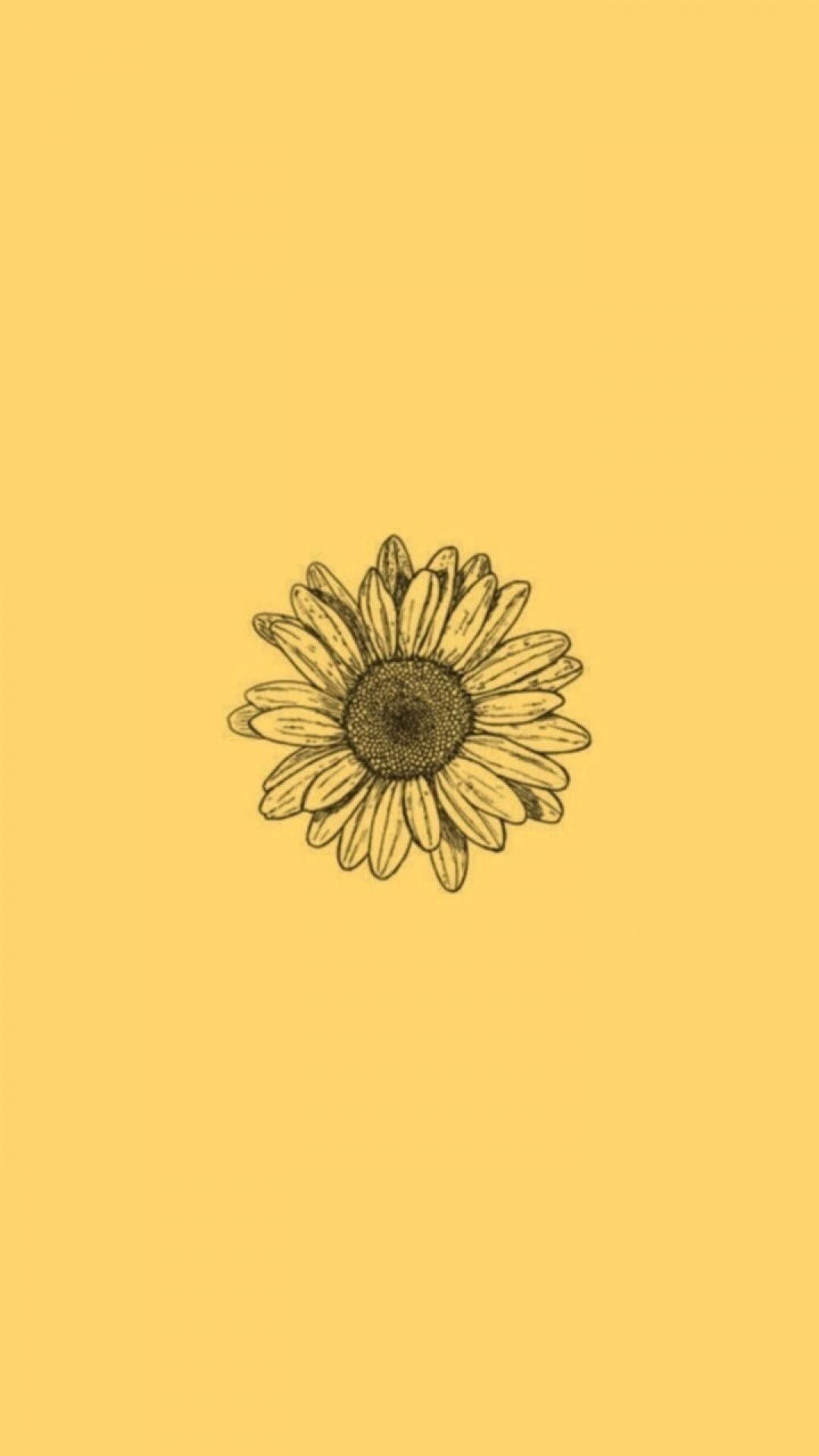 A yellow background with an image of the sunflower - Yellow iphone
