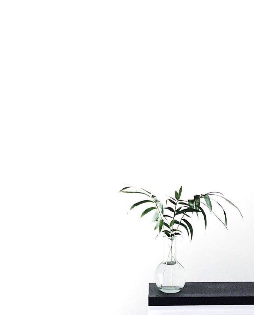 Minimalist greenery in a clear vase on a black table. - HD, black and white