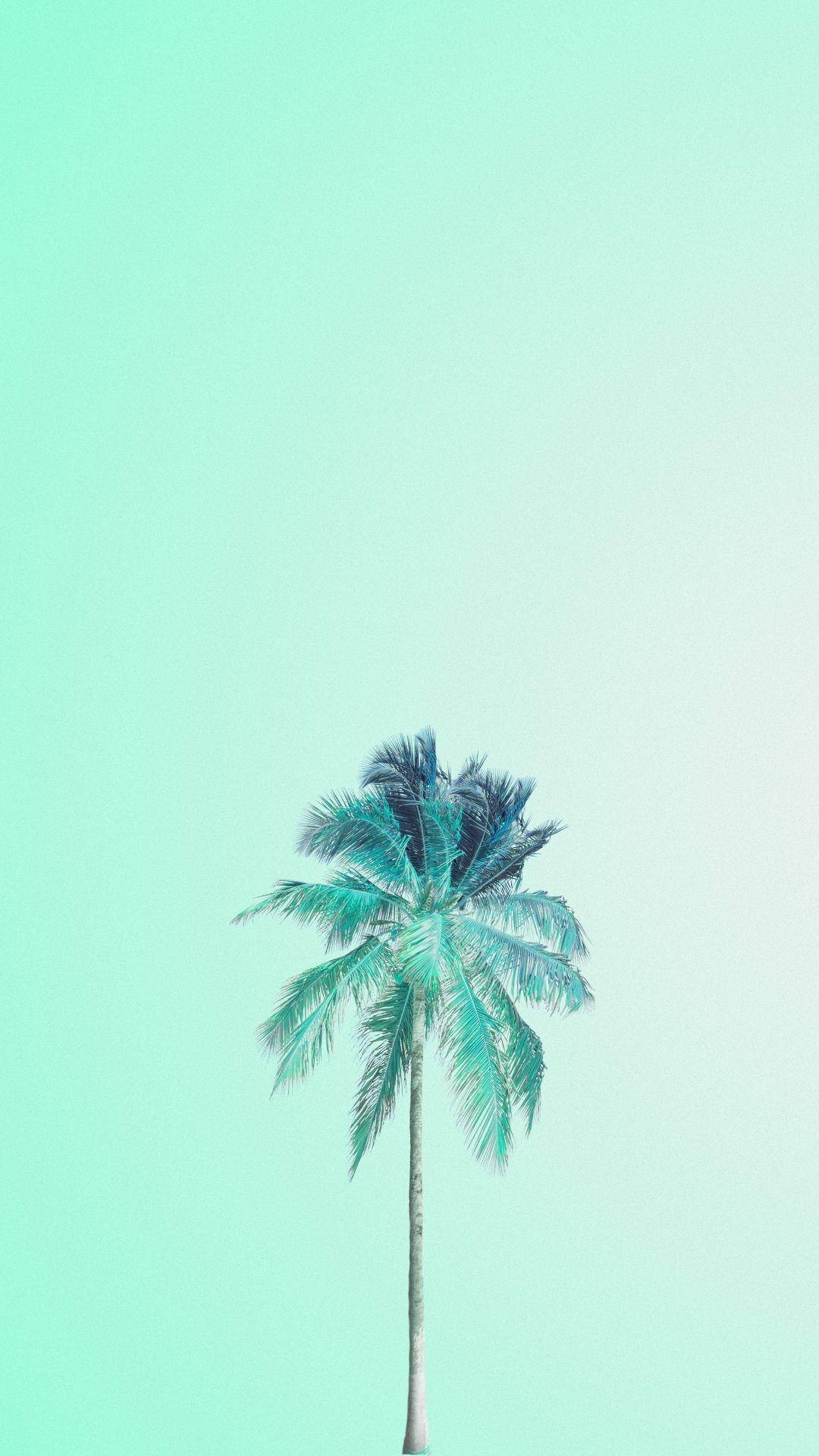 IPhone wallpaper with a palm tree against a blue background - Light green, mint green, soft green