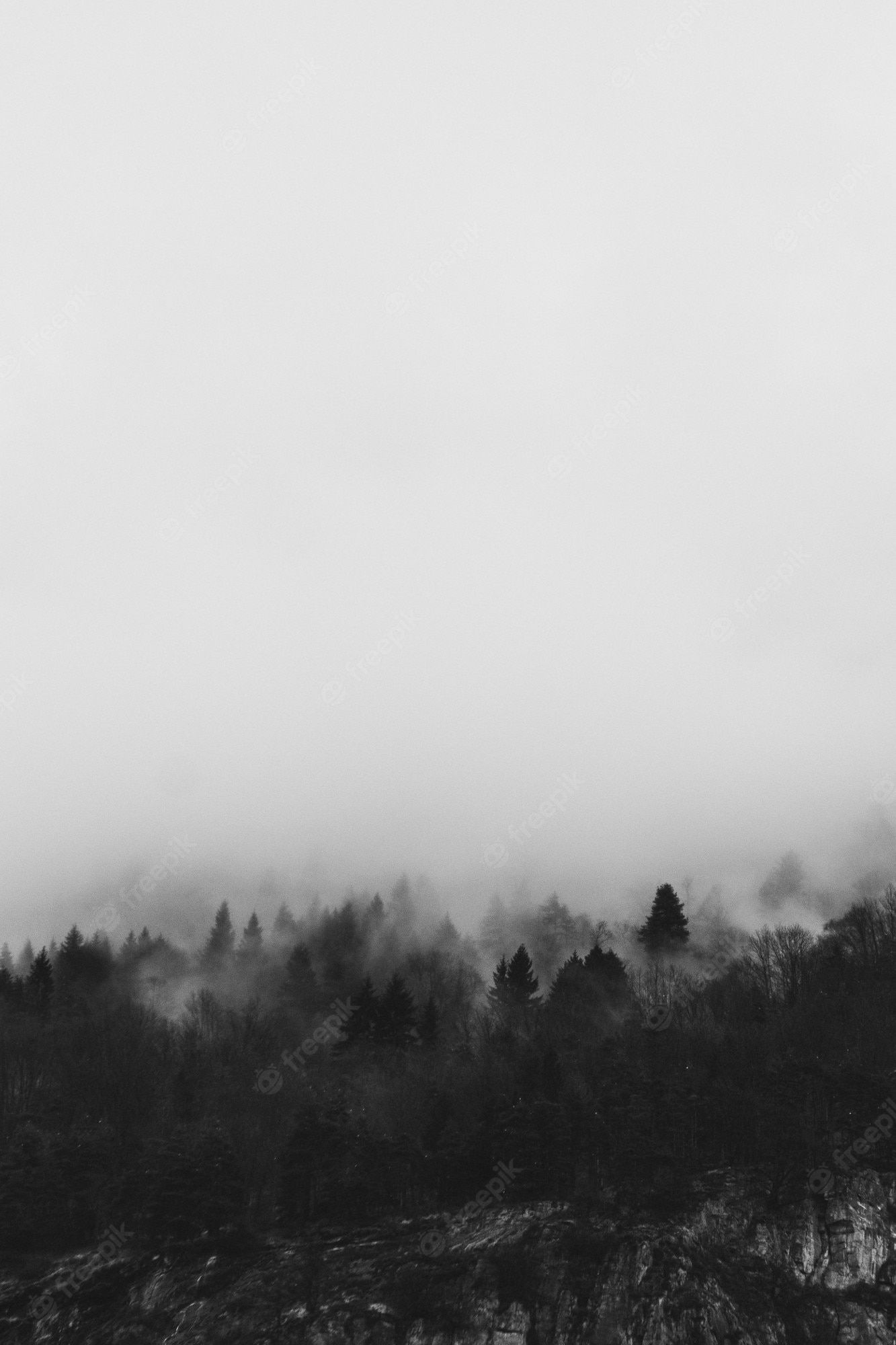 A black and white photo of foggy mountains - Foggy forest, fog