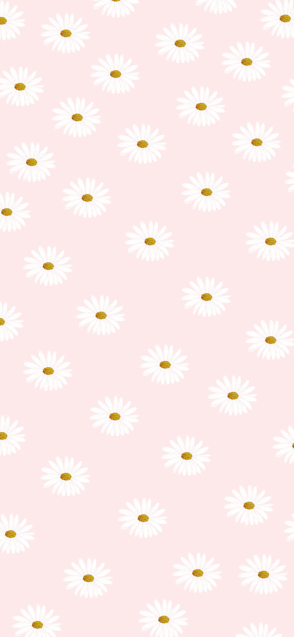 Pink Aesthetic Picture : Daisy iPhone Wallpaper