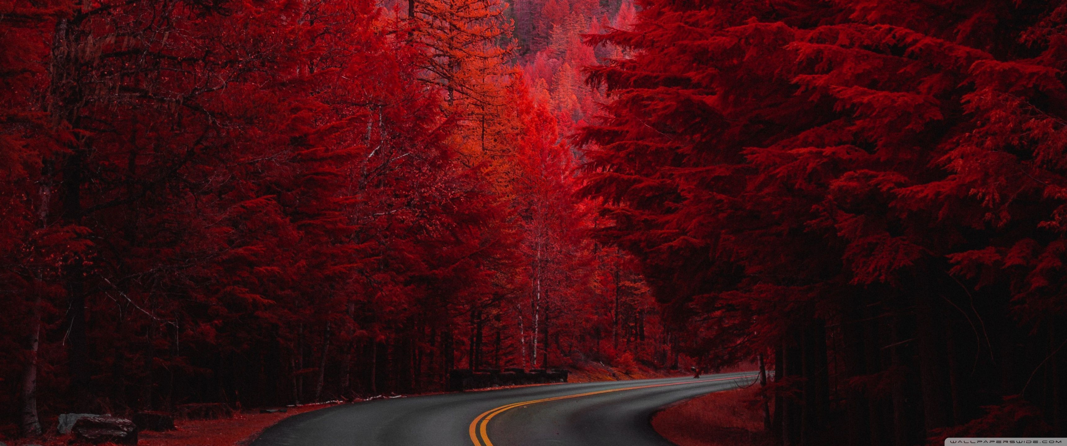 Autumn, Road, Aesthetic Ultra HD Desktop Background Wallpaper for : Multi Display, Dual Monitor : Tablet