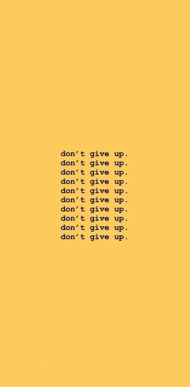 Do not give up wallpaper