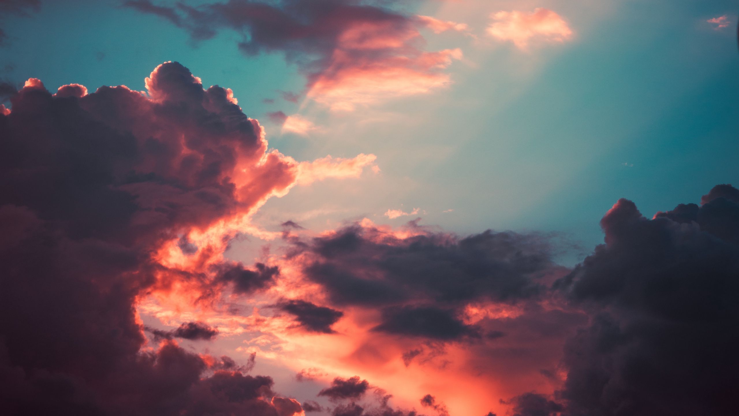 Download wallpaper 2560x1440 clouds, porous, sky, sunset, overcast widescreen 16:9 HD background