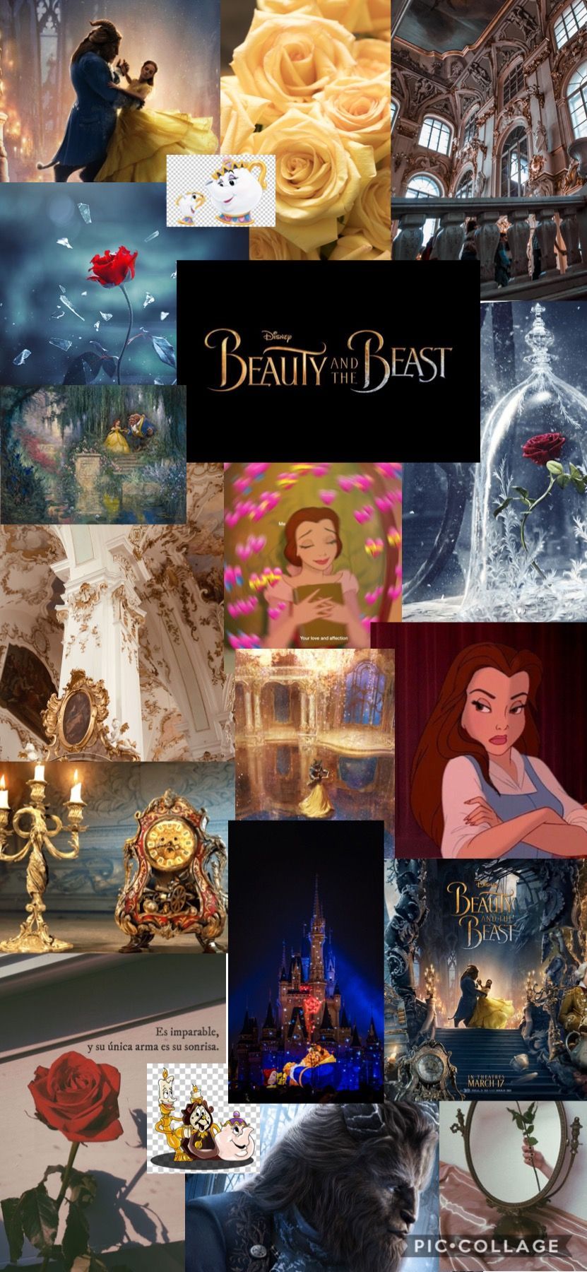 Aesthetic Beauty And The Beast Wallpaper