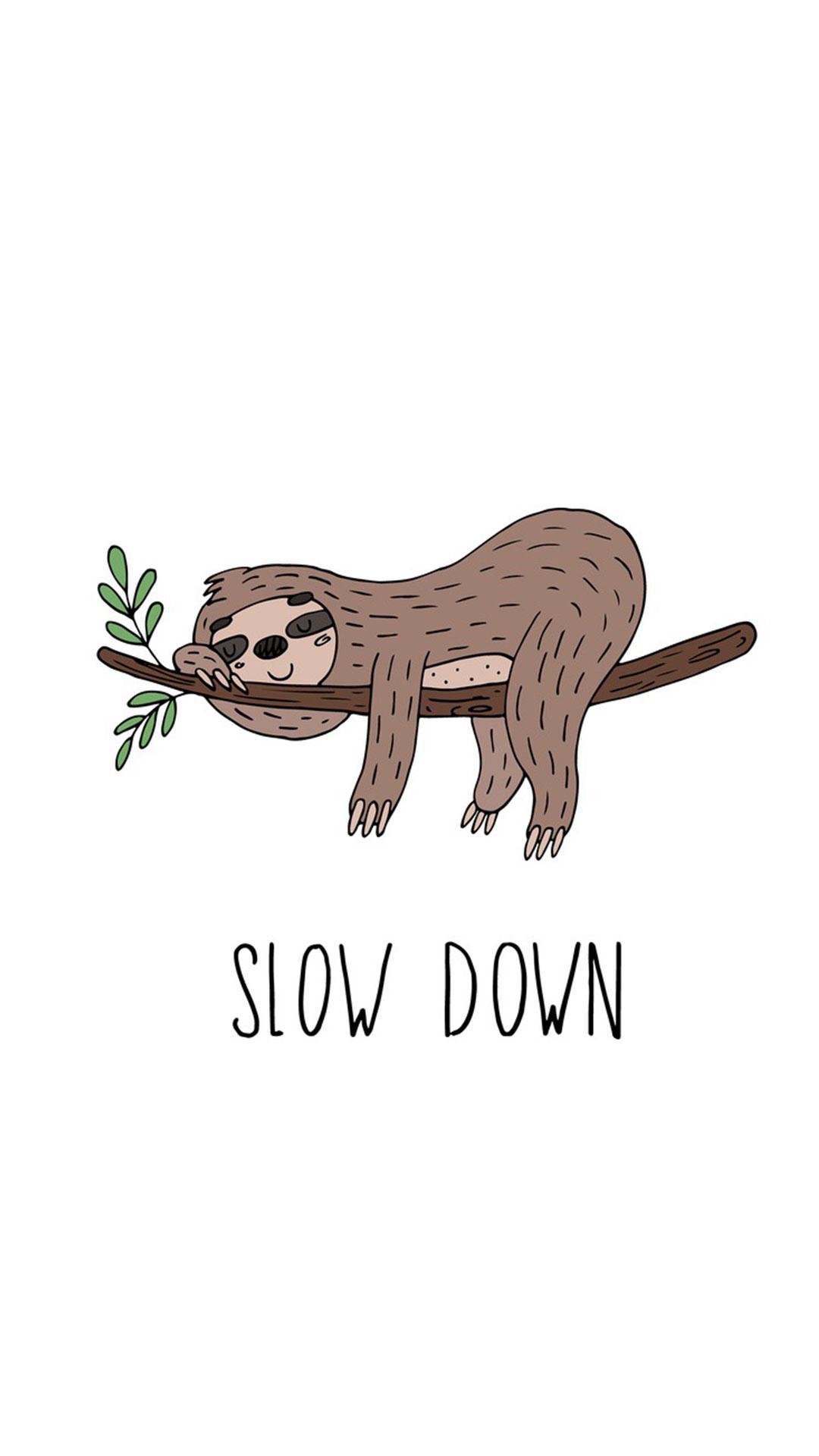 Anime Sloth Wallpaper