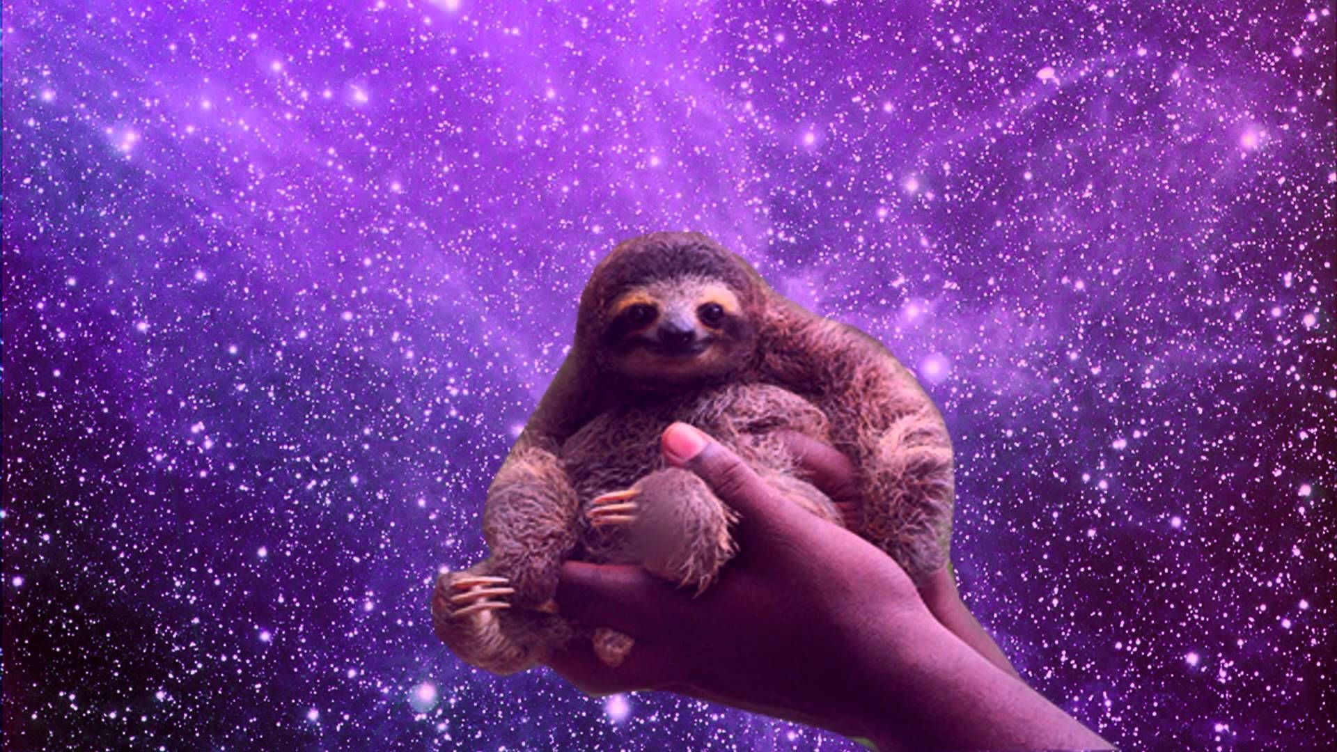 Download Sloth Wallpaper