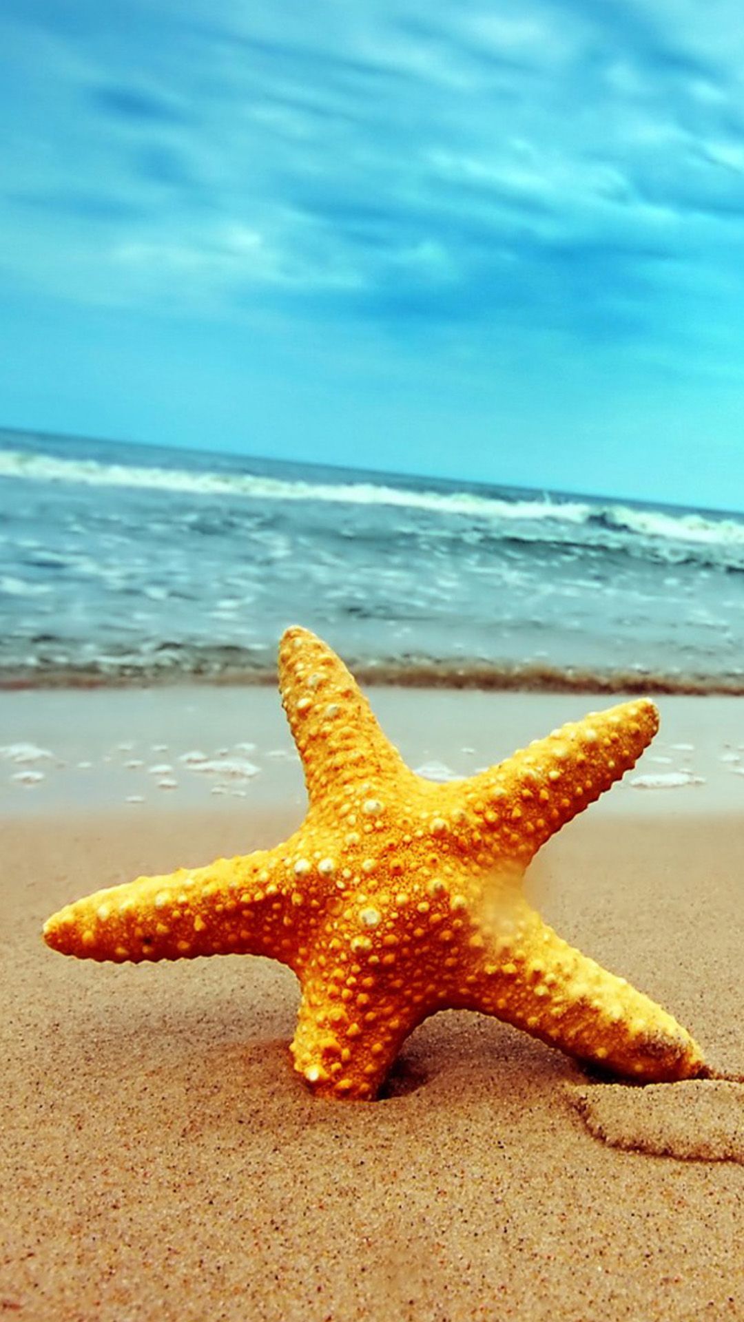 Beach and Starfish Wallpaper