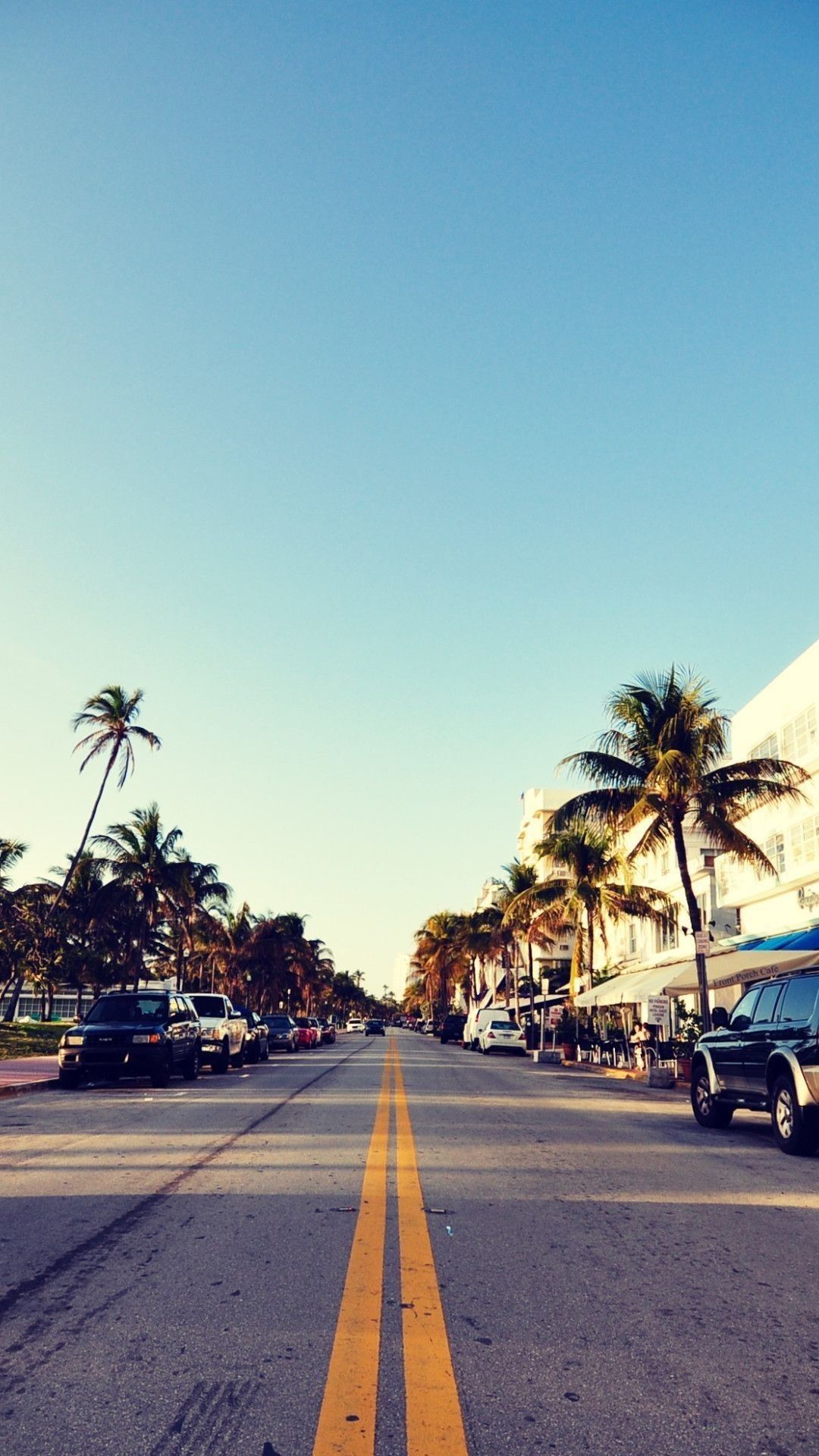 A street with cars and palm trees - Miami