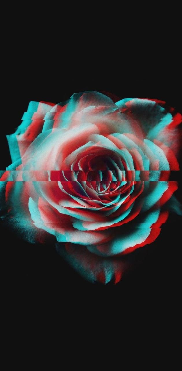A 3d image of an abstract rose - Black glitch, glitch