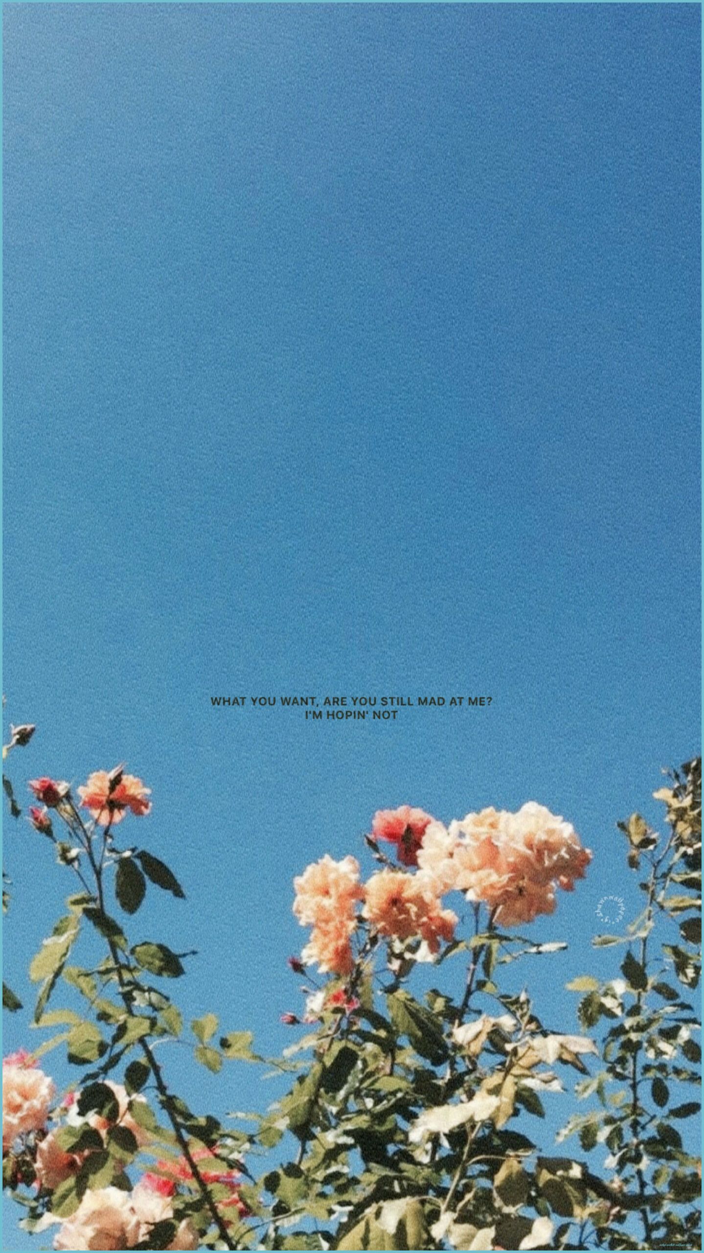 A poster with some flowers and blue sky - Vintage, bright
