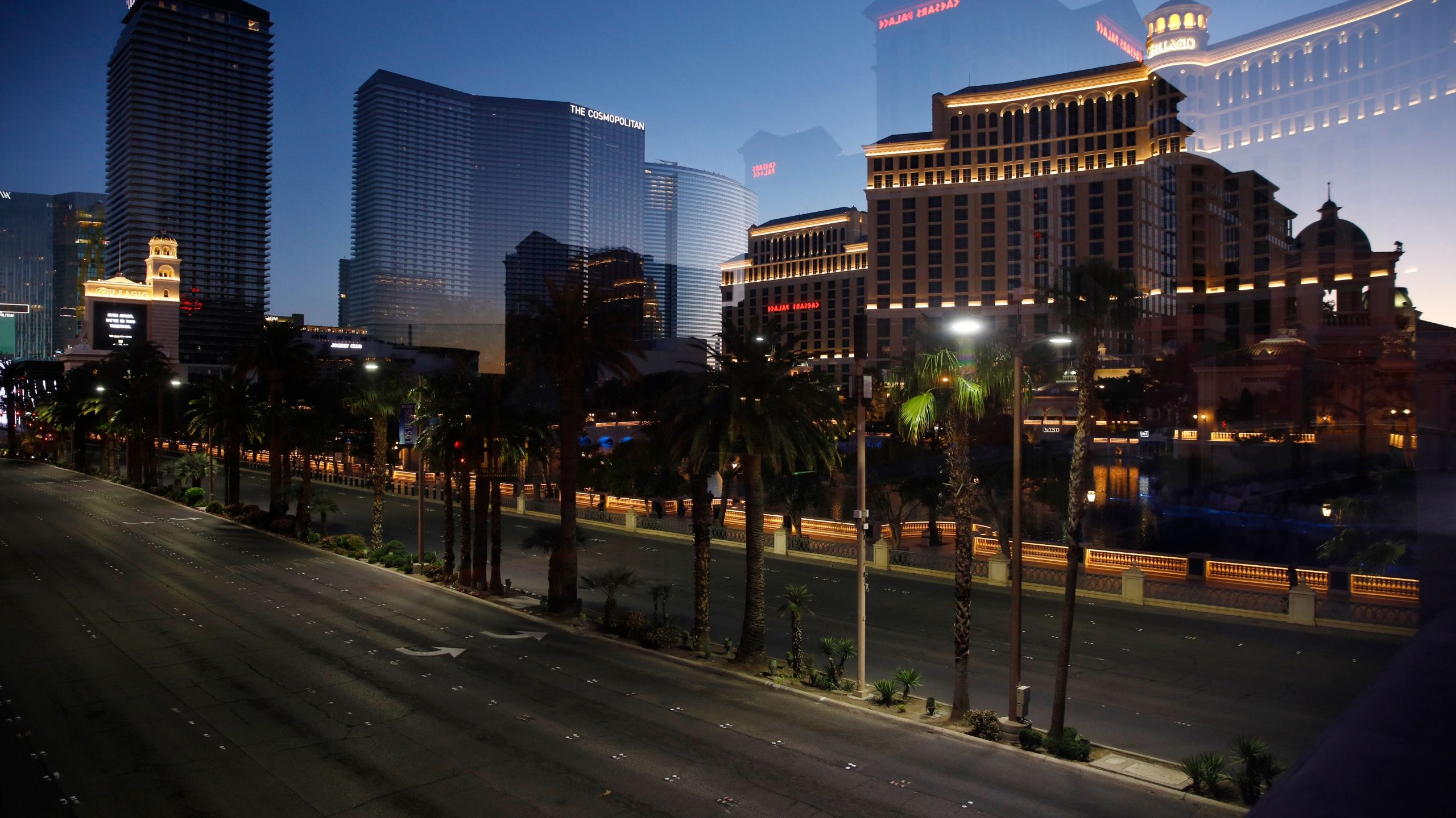 A city street with palm trees and buildings - Las Vegas