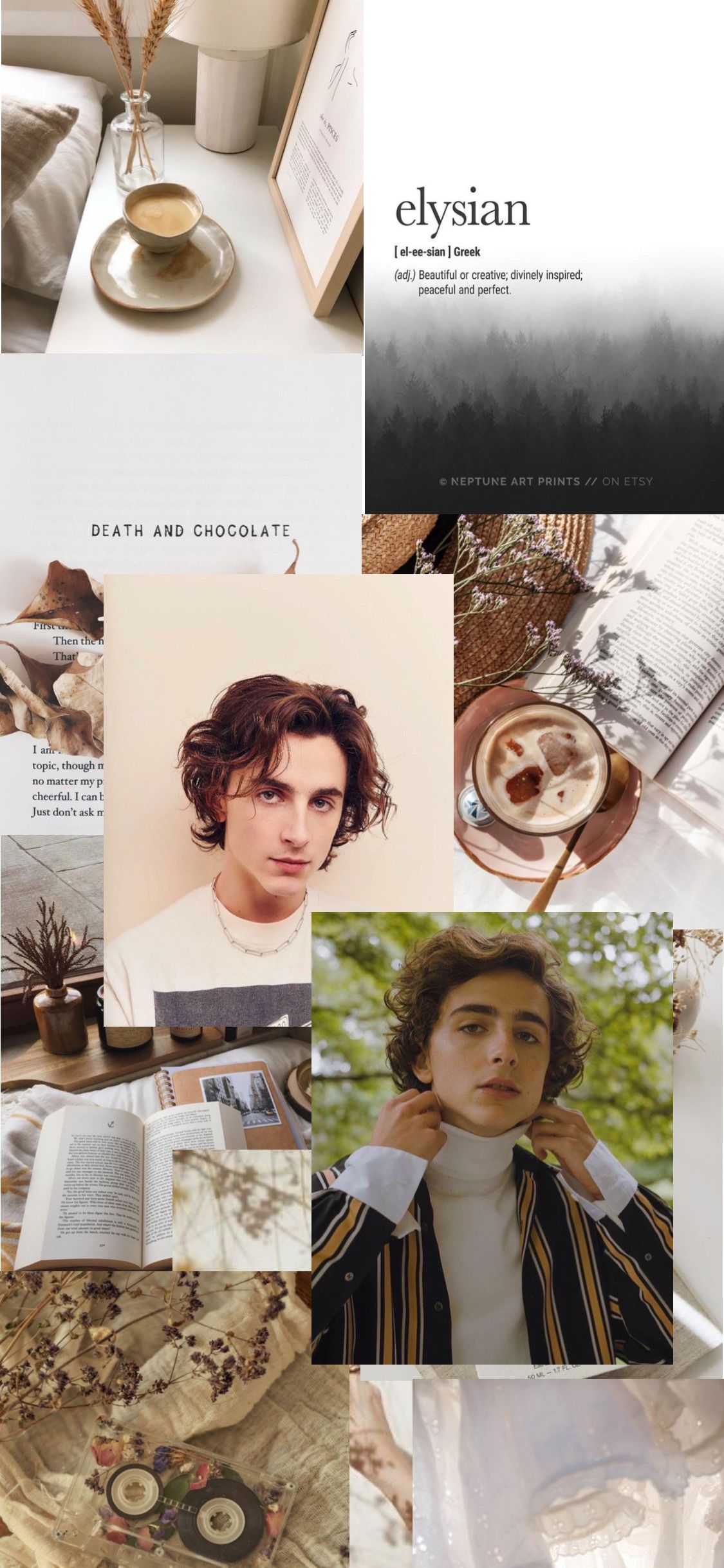 Moodboard featuring Timothee Chalamet, a book, a cup of coffee, and a plant. - Timothee Chalamet