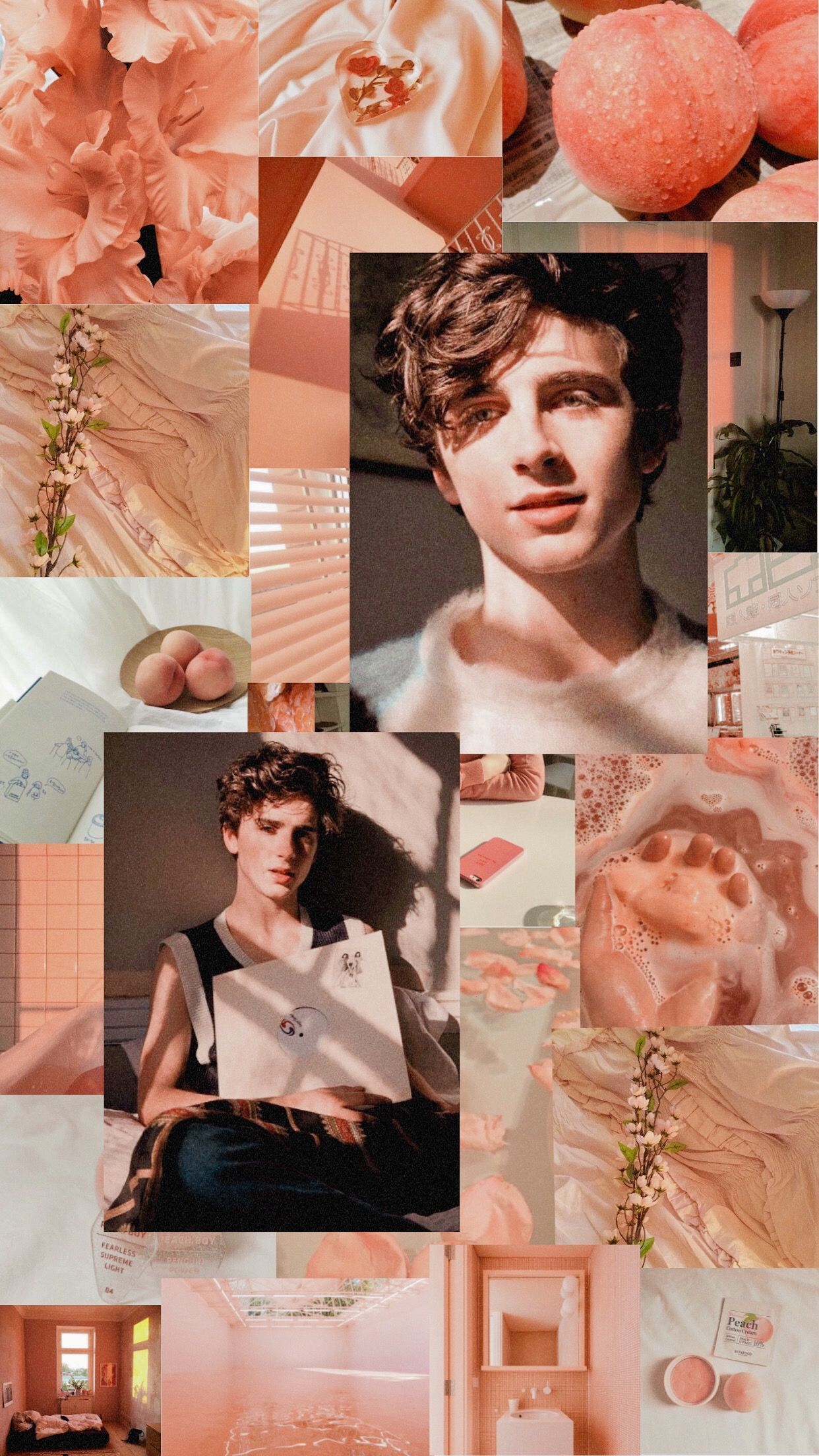 Collage of photos of the singer Shawn Mendes, aesthetic background - Timothee Chalamet