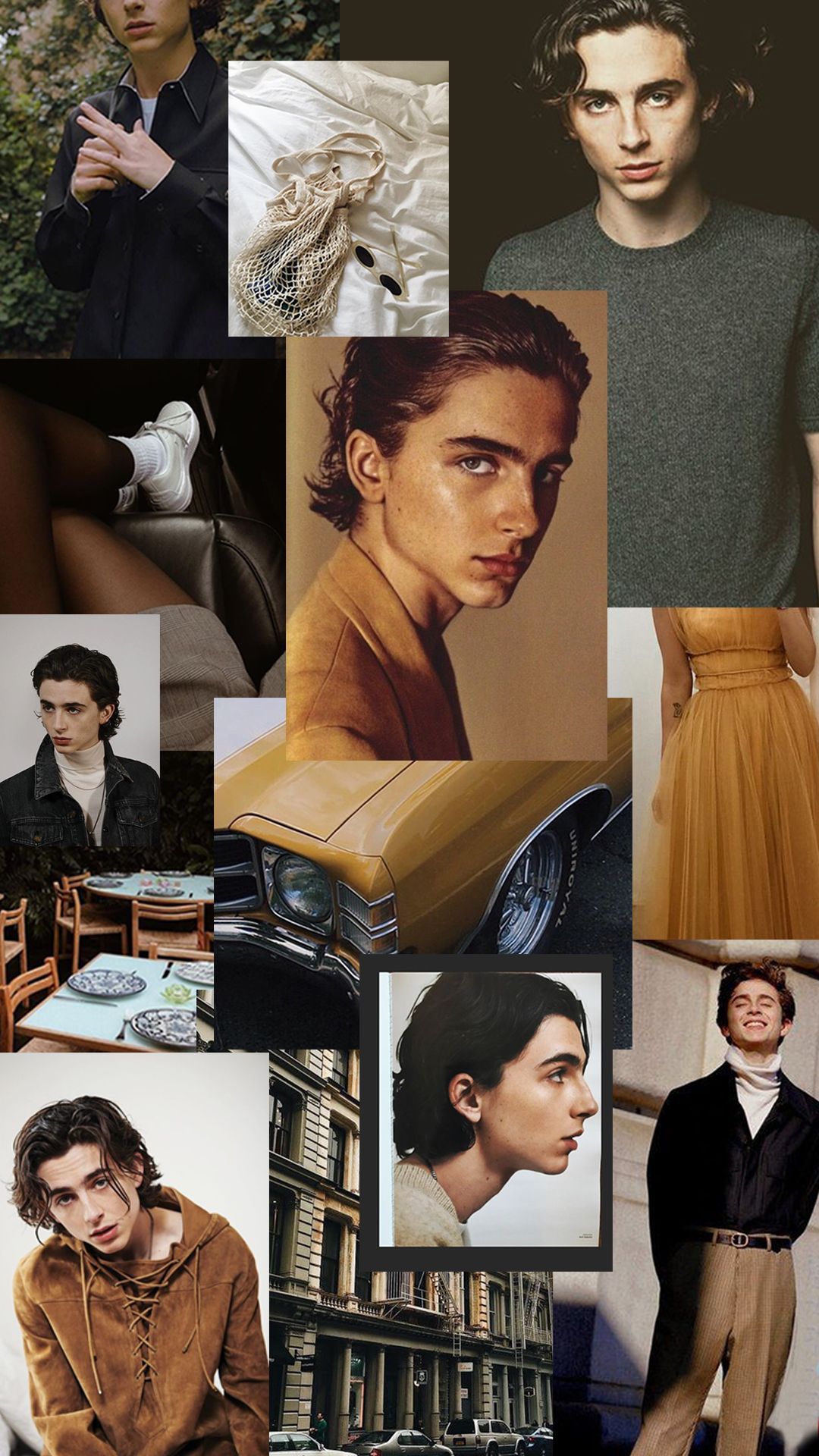 Timothee Chalamet wallpaper for mobiles and tablets - Timothee Chalamet