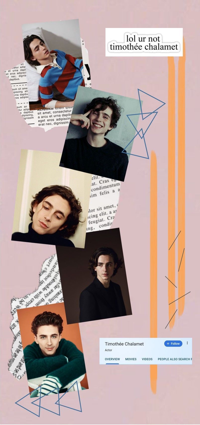 Collage of pictures of Timothee Chalamet with the text 