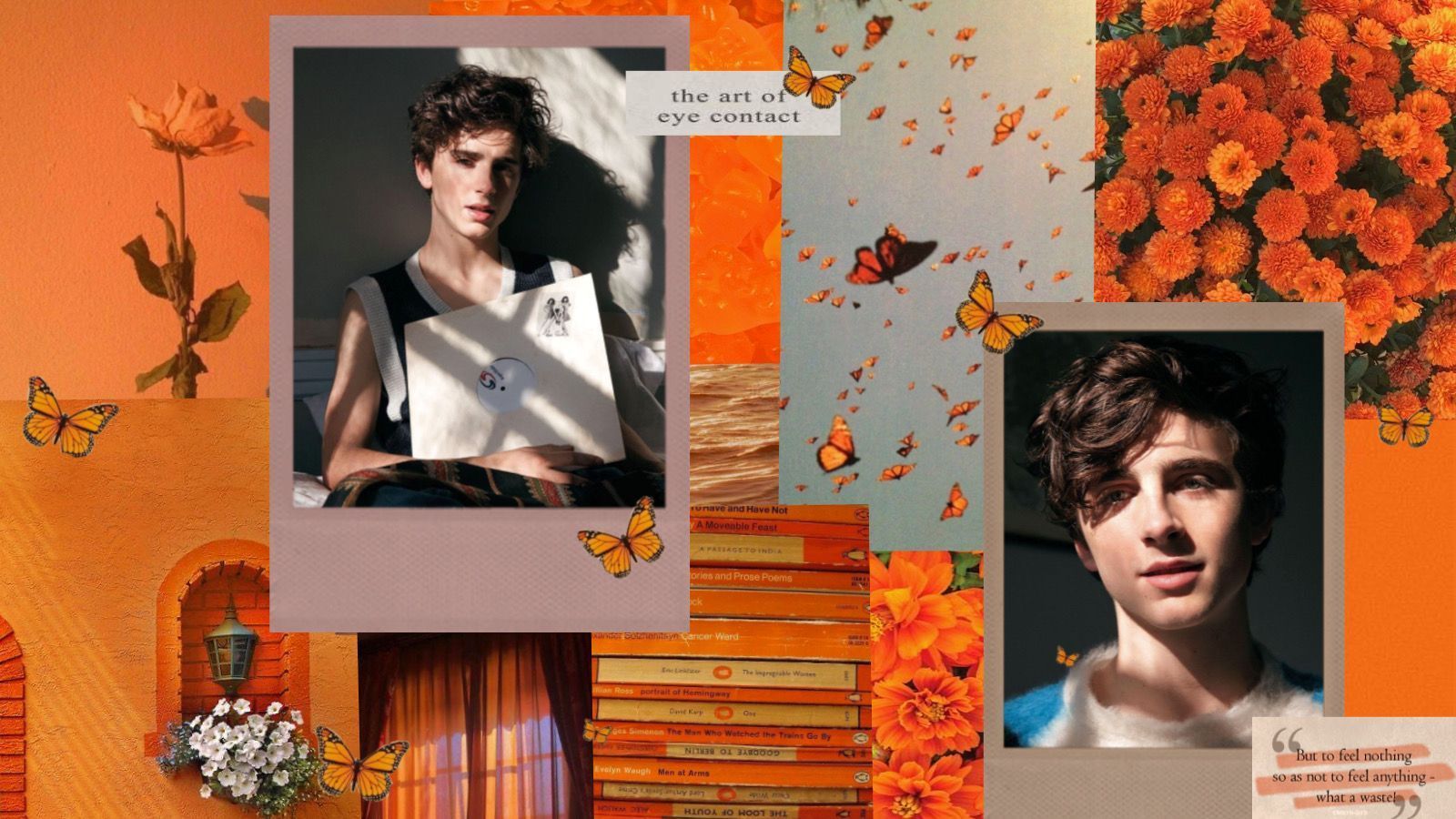 A collage of pictures with flowers and butterflies - Timothee Chalamet