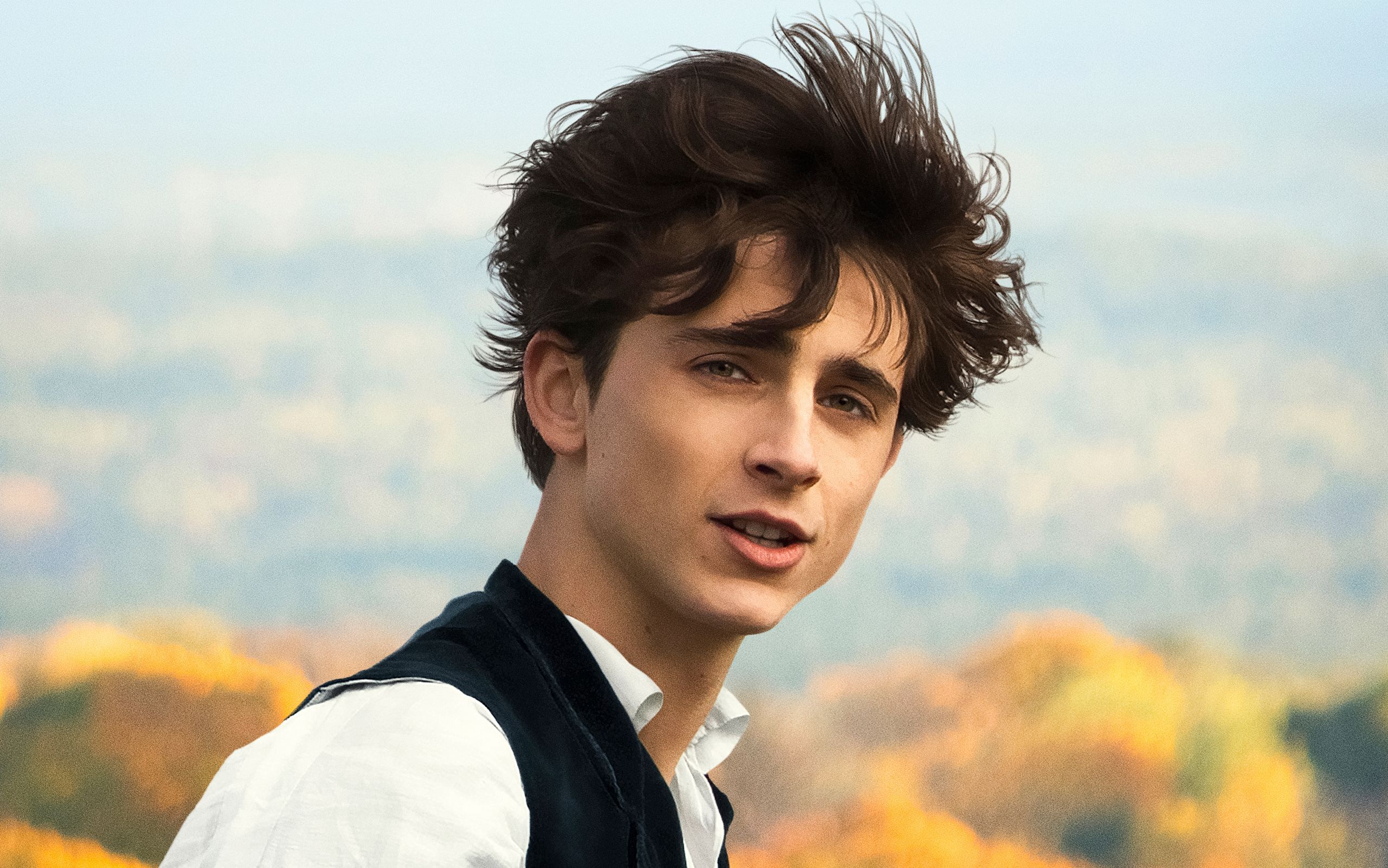 A young man with curly hair and vest - Timothee Chalamet