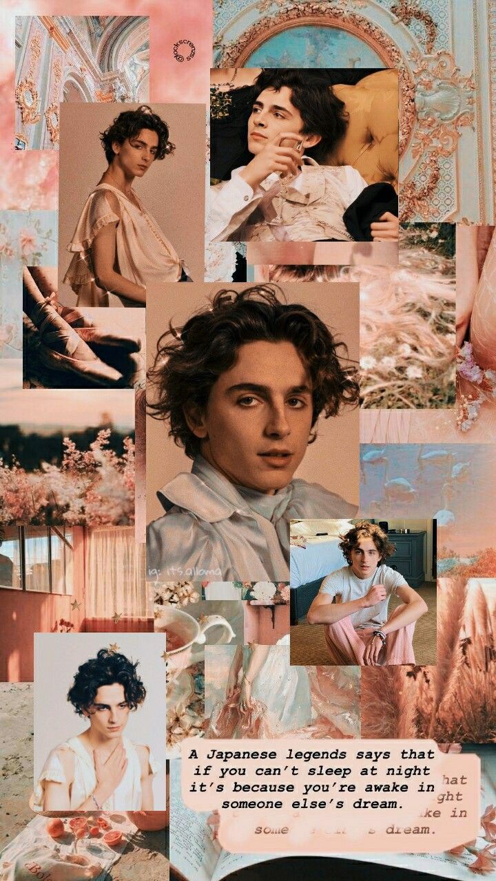Collage of Timothee Chalamet in pink and beige tones - Timothee Chalamet