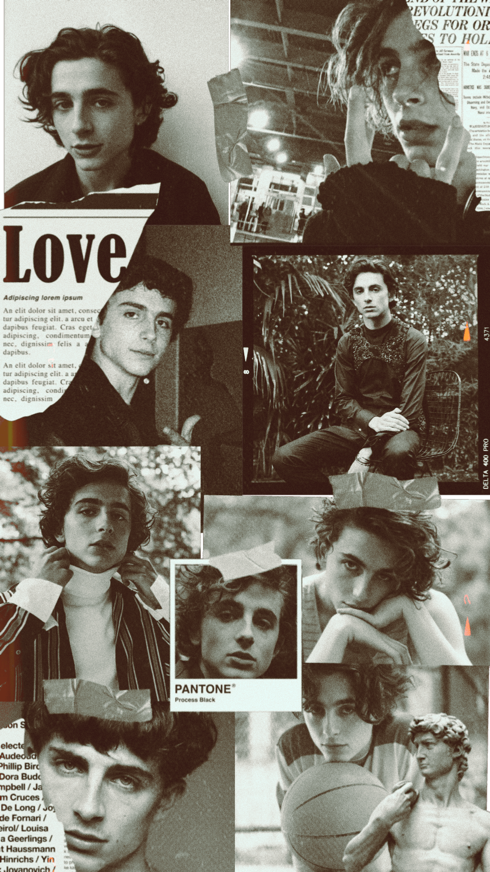 A collage of pictures with the word love in them - Timothee Chalamet