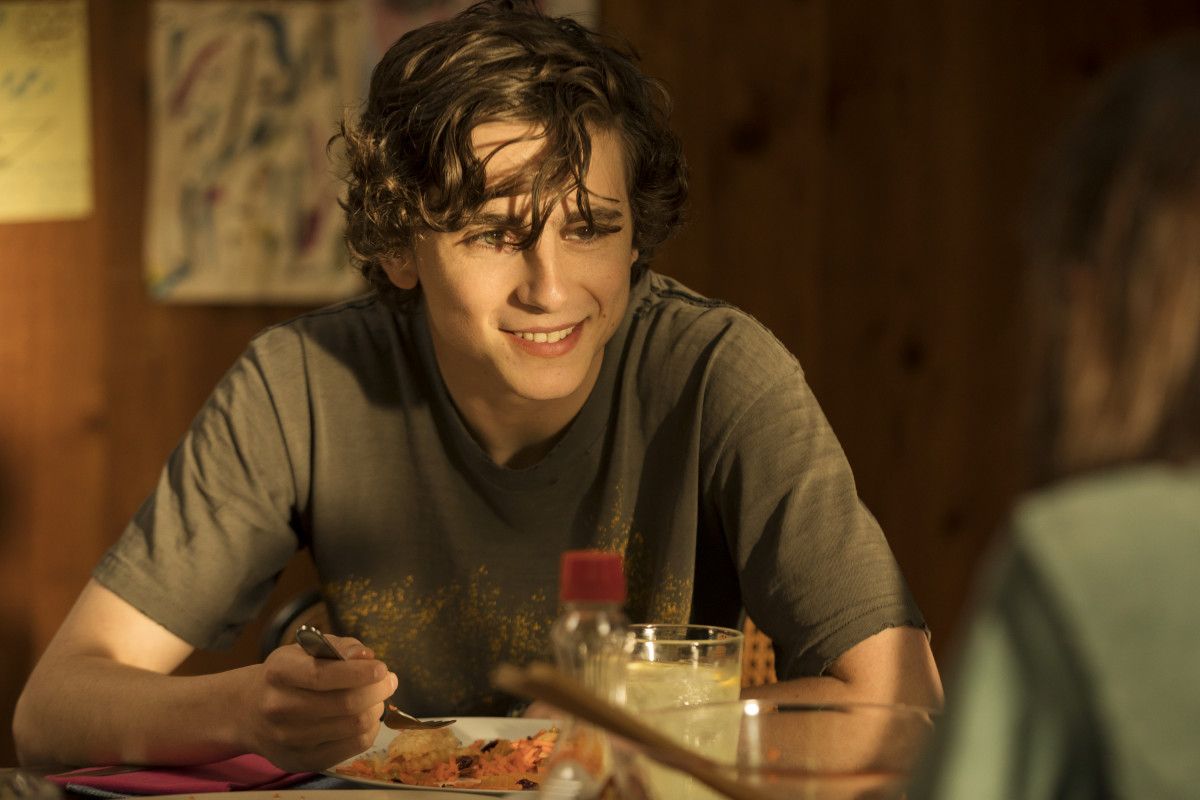 A young man with curly hair sits at a table with a plate of food and a glass of water. - Timothee Chalamet