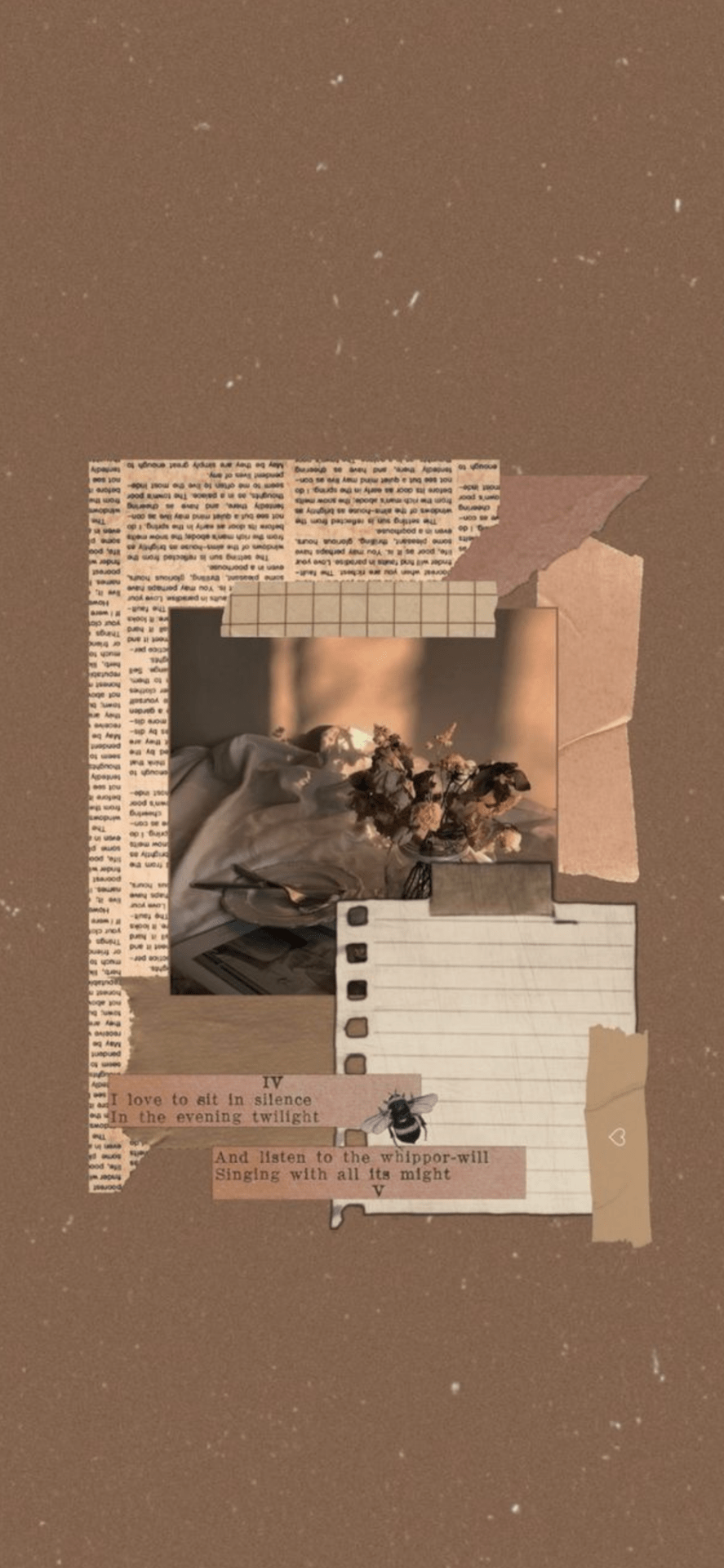 A collage of brown and white images including a quote, flowers, and a spider. - Light academia