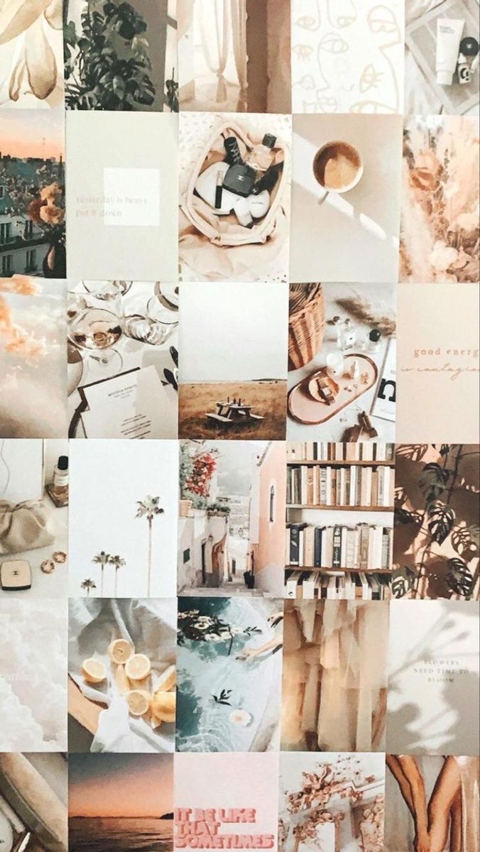 Aesthetic collage background of pastel colors, books, and coffee. - Light academia