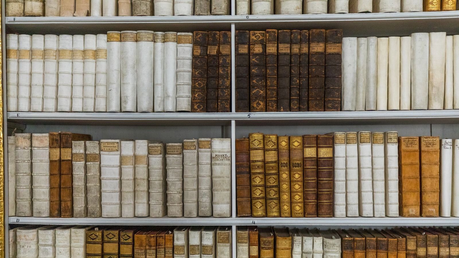 A book shelf with many books on it - Light academia