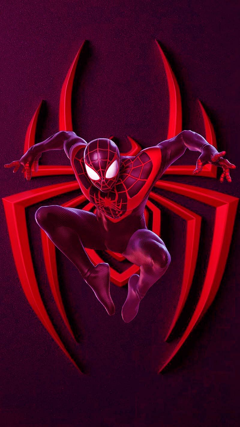 Spider man into the Spiderverse movie poster - 