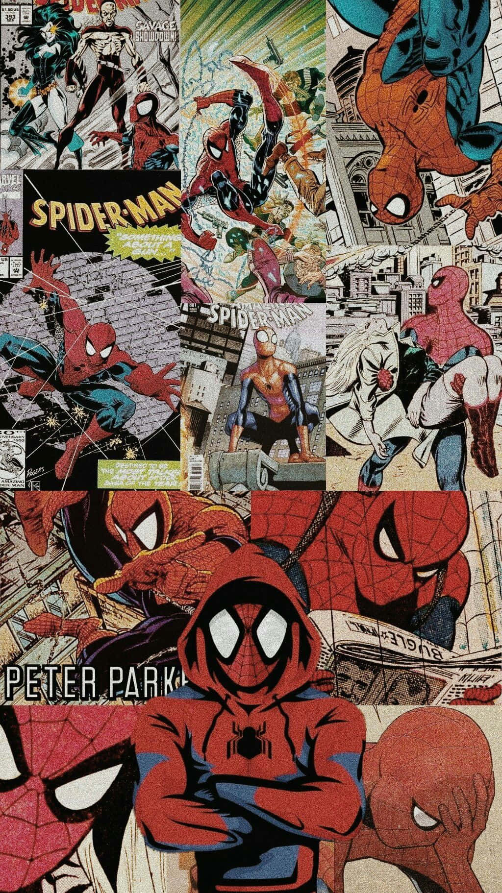 Download Spider Man Aesthetic Wallpaper