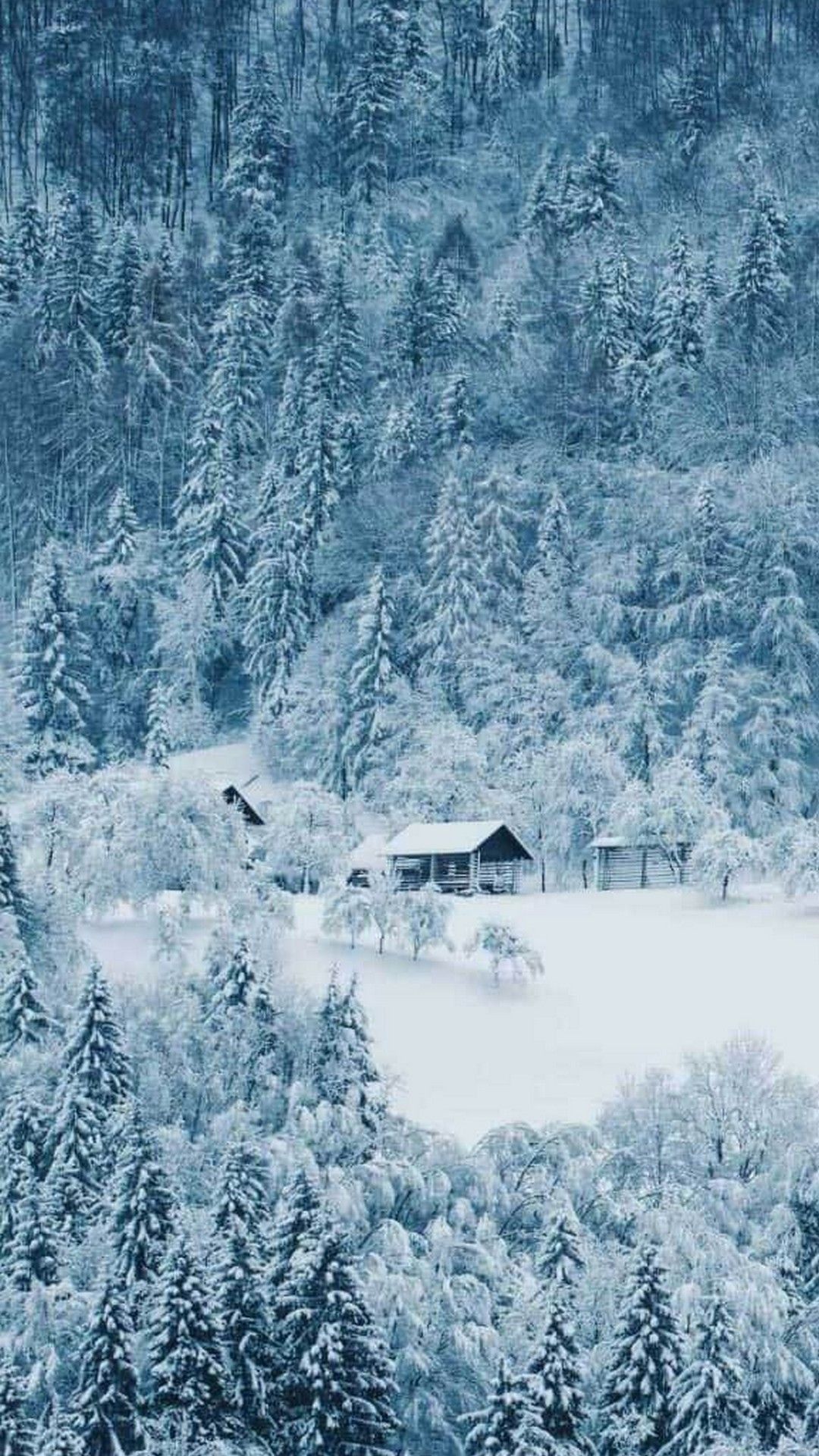 A snow covered forest with a small house in the middle - Winter, snow