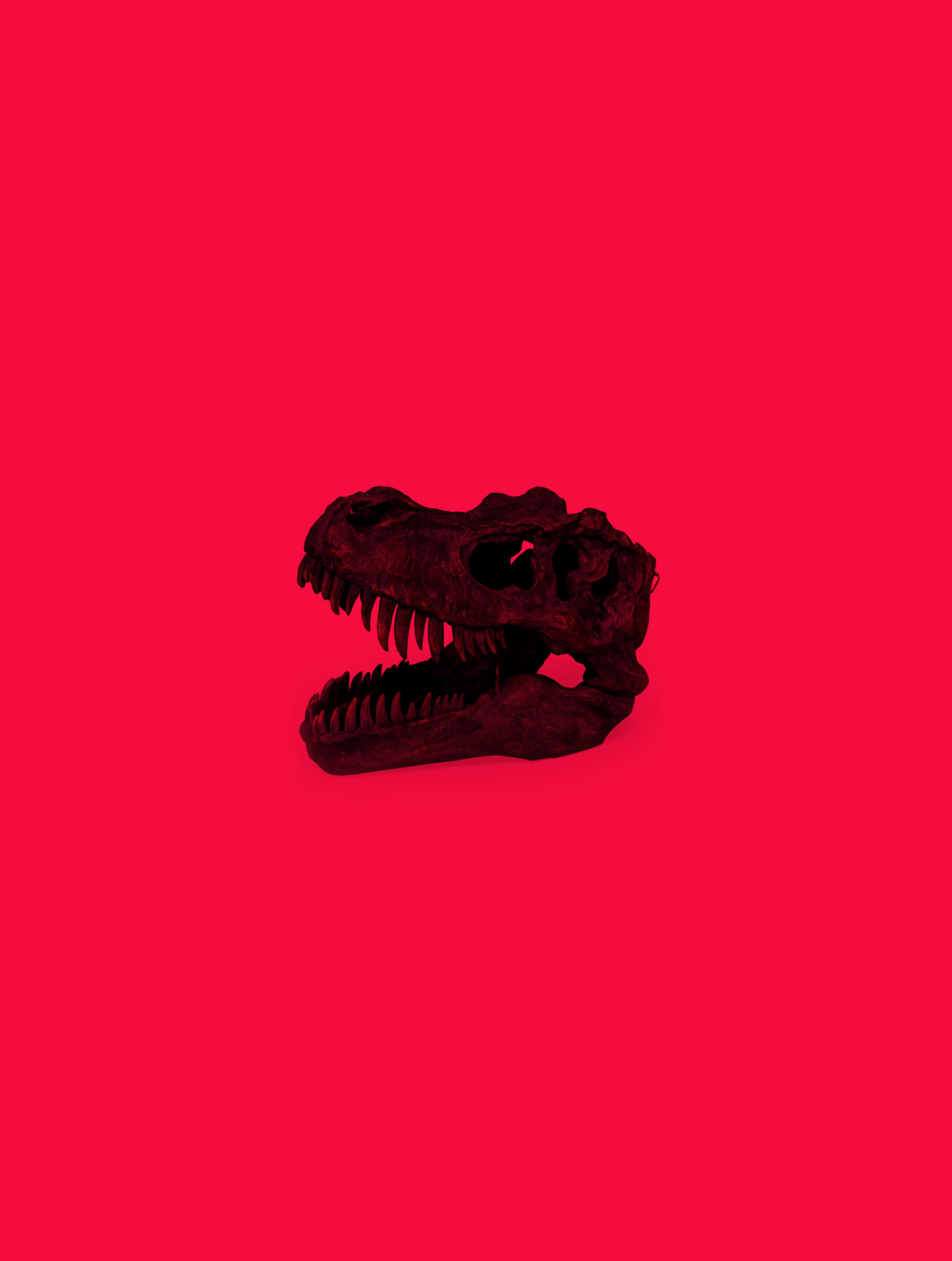 A black and red image of an animal - Dinosaur