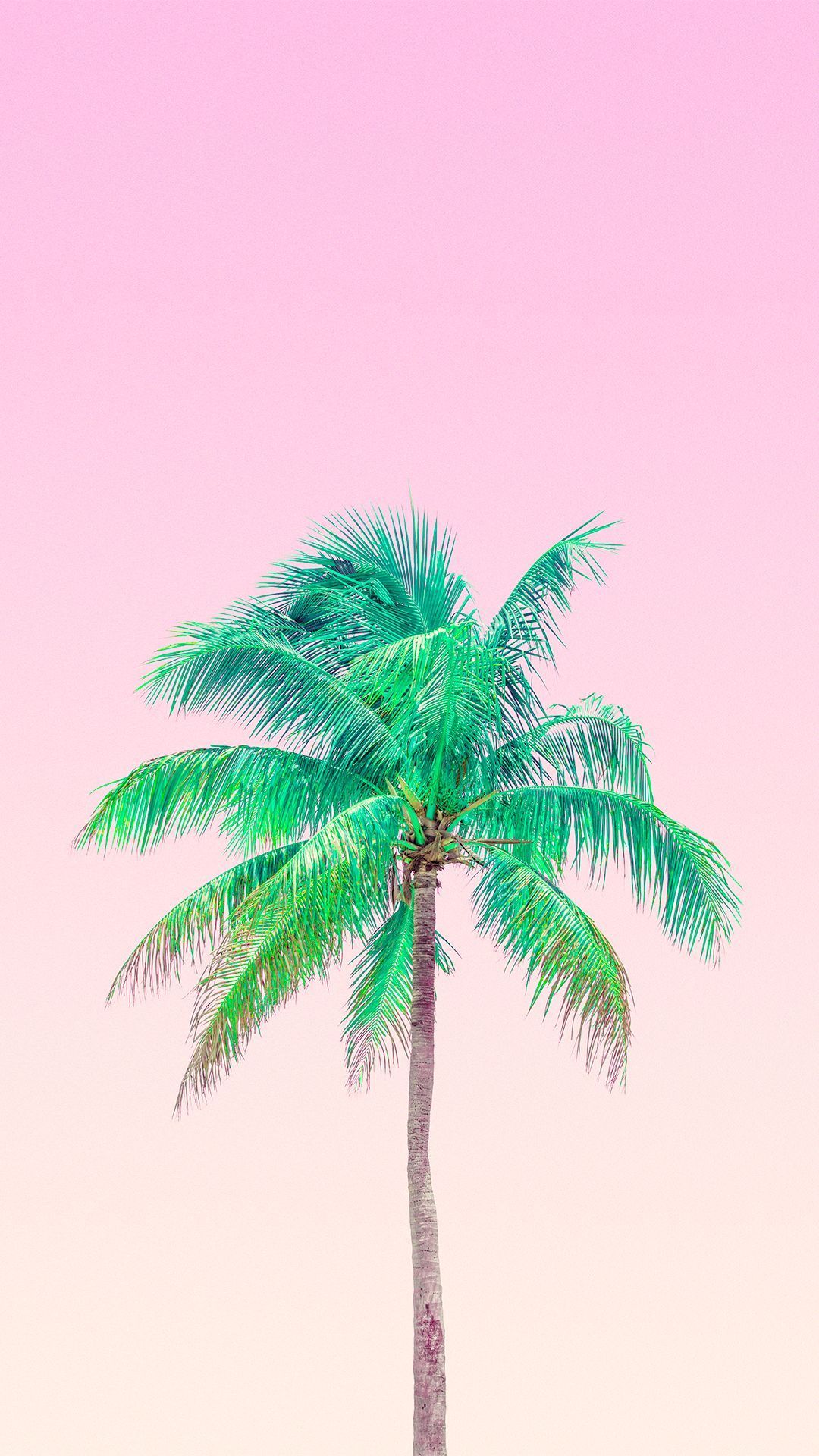 IPhone wallpaper of a palm tree in front of a pink sky - Palm tree