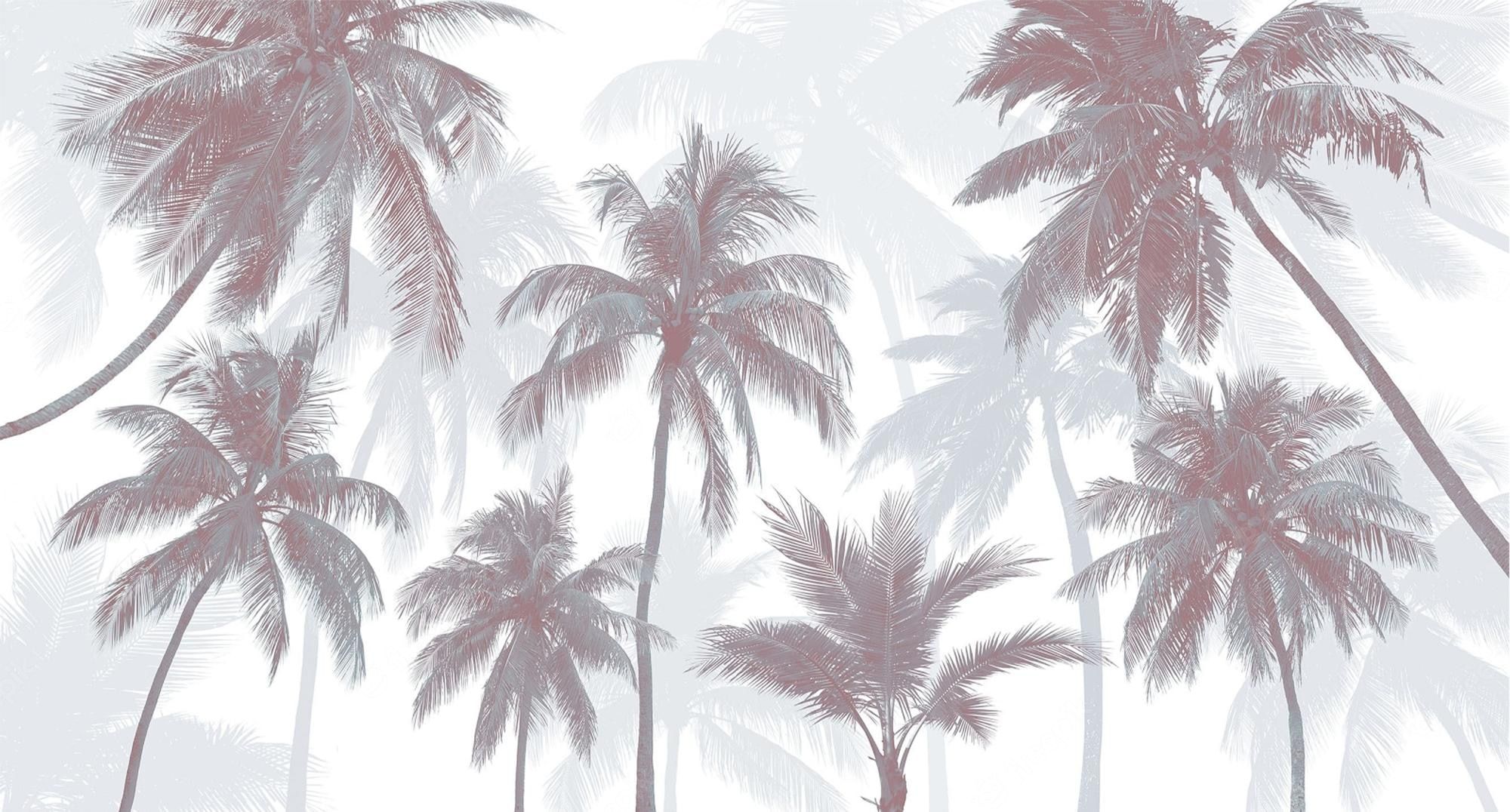 A photo of palm trees on a white background - Palm tree